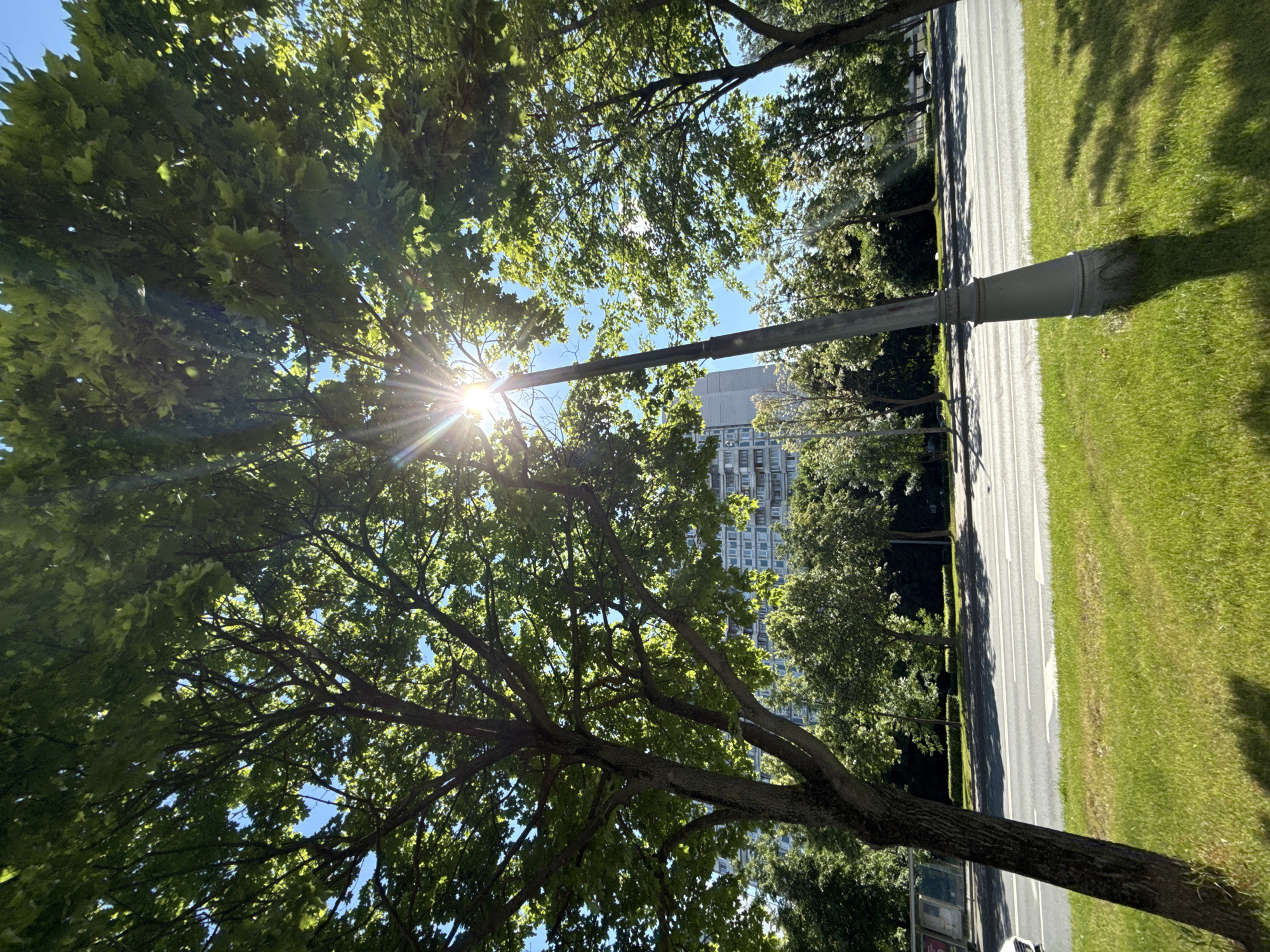 This is a low-angle shot of a street in Moscow, Russia on a sunny day, as indicated by the lens flare from the sun peeking through the leaves of a large tree. The foreground features a lush green lawn with distinct shadows cast by the tree and a lamppost. A paved road with white lane markings runs horizontally across the middle ground, with some trees lining the other side. In the background, a tall, light-colored apartment building with numerous windows is visible, typical of Soviet-era architecture often found in Moscow. The sky is a clear, bright blue. There are no people visible in the scene, and no vehicles are clearly discernible on the road, though a sliver of a white car is visible on the far left. The overall atmosphere is one of a typical urban summer day.