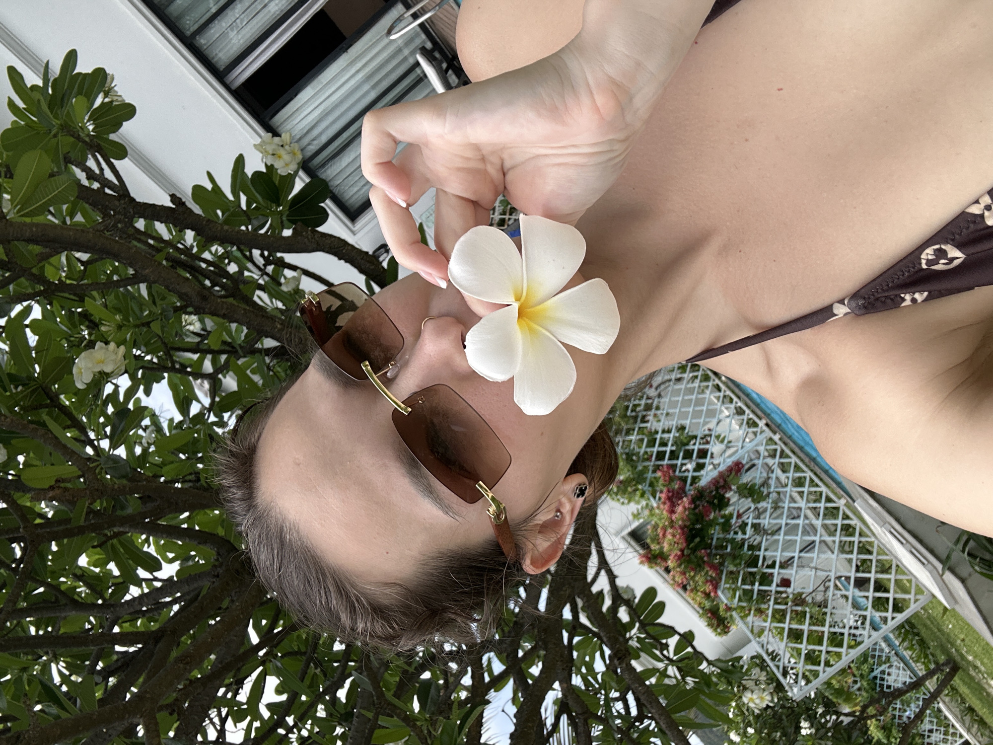 The image displays a close-up, vertically oriented shot of a person in a sunny, tropical setting. The subject's head, partially obscured by sunglasses and a flower, is positioned towards the left side of the frame. They have short dark hair, warm-toned skin, and are wearing brown-tinted, rimless sunglasses with gold accents. A white plumeria flower with a yellow center is gently held by their right hand, positioned near their cheek and jawline. The hand shows manicured nails with white tips. A small piercing is visible on the lobe of their right ear.
The person is wearing a brown bikini top with a repeating patterned design, visible on the right side of the frame near the shoulder and chest.
The background features lush green foliage from a tree, likely a plumeria, with additional white flowers visible among its branches. In the upper right corner, a white building with dark windows is discernible. Below this, a white lattice-style fence or trellis is present, adorned with clusters of pinkish-red flowering vines. A glimpse of blue, possibly from a pool or the sky, is visible through the trellis. The bright lighting suggests it is daytime. No explicit text is visible in the image.