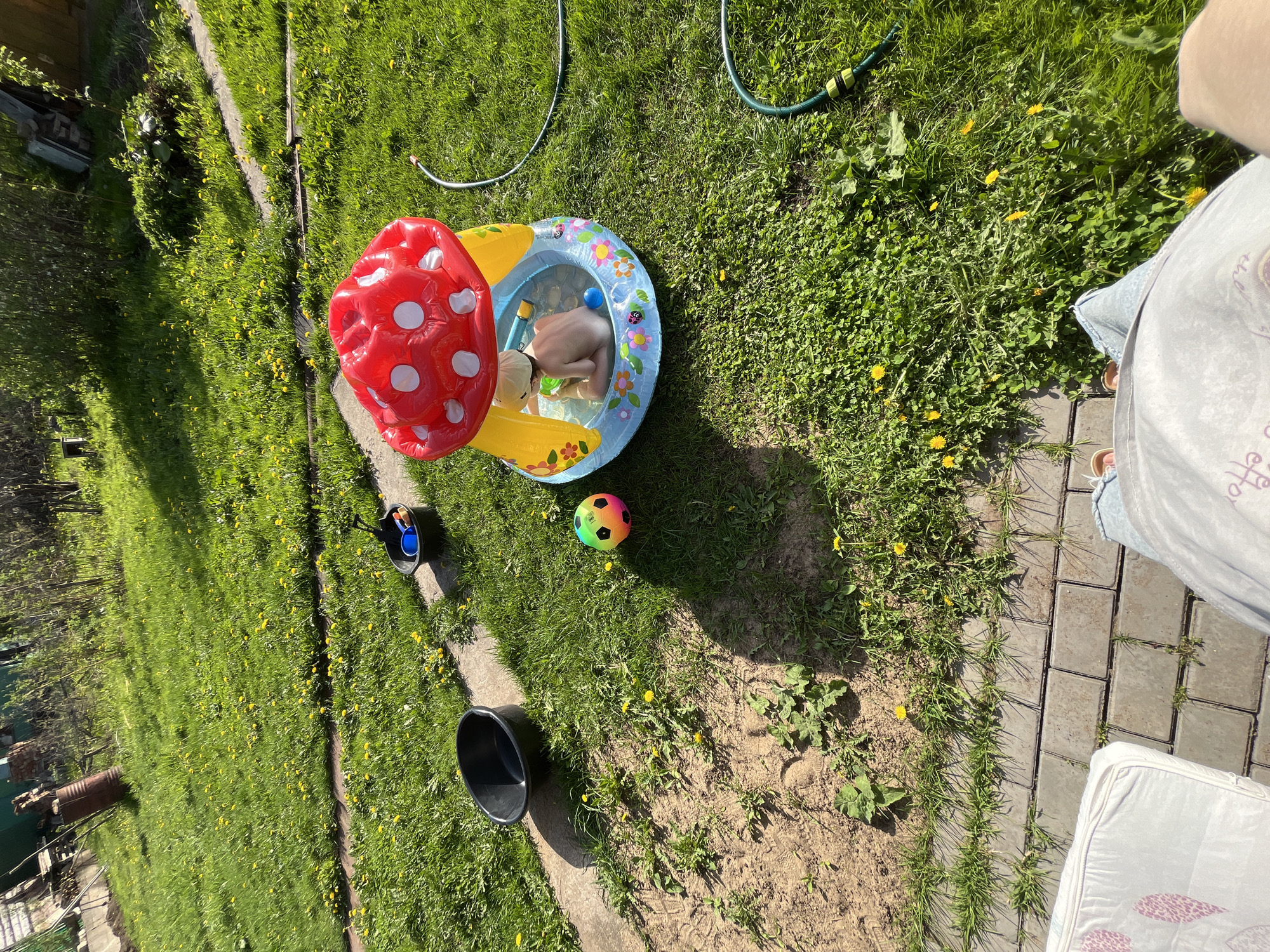 A photograph taken from a high angle shows a backyard scene on a sunny day. A small inflatable pool shaped like a mushroom is on a lawn, with a child inside, face down in the water. Beside the pool is a beach ball and two black buckets. A hose runs across the grass in the background. The grass is green with many yellow dandelions scattered throughout. A paved walkway is visible in the lower right corner of the image with a white cushion on it. Based on the context of the image being provided in the query, the location is Chaikovsky, Russia.