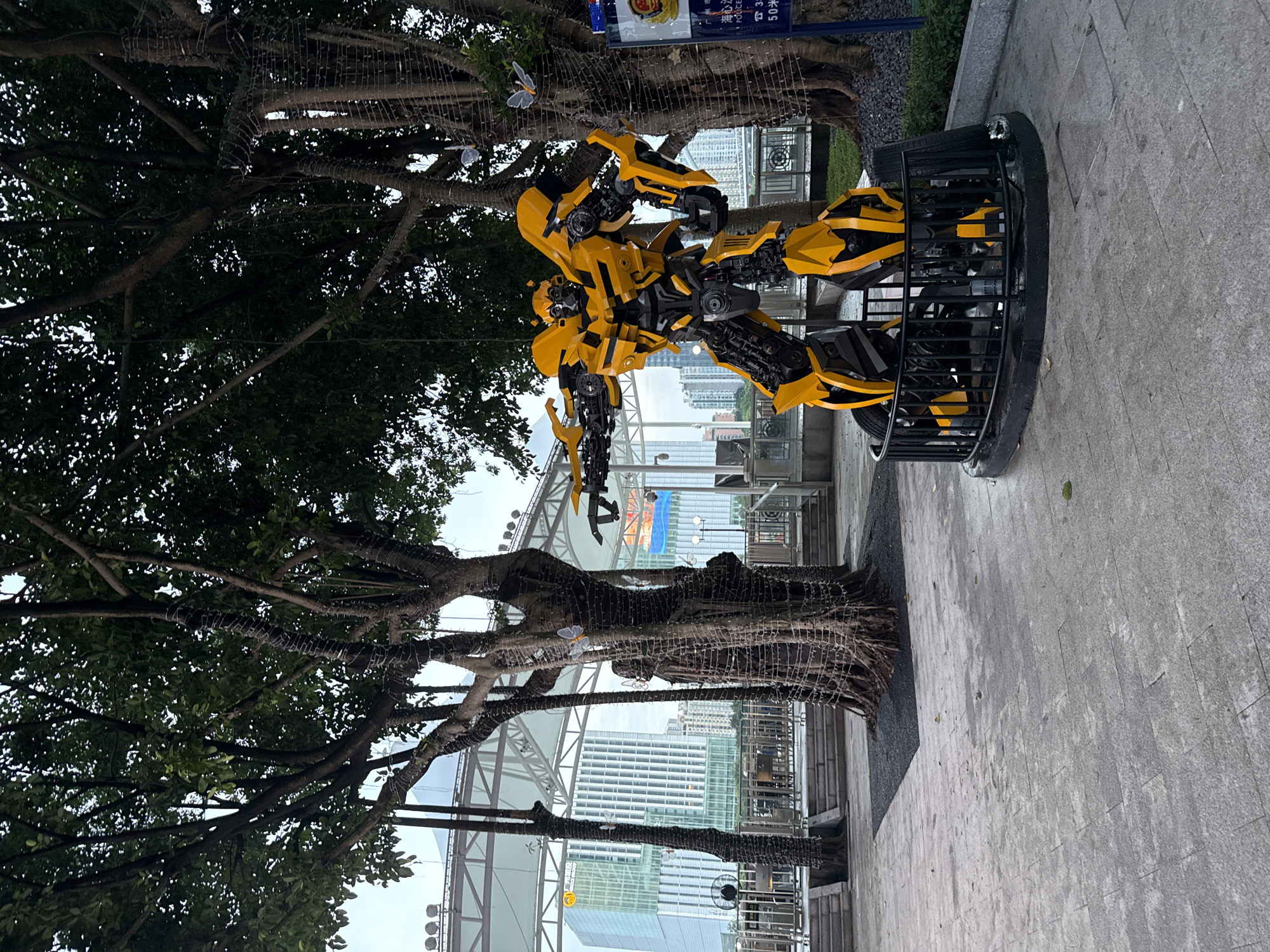 The image depicts an outdoor scene, likely in Tianhe District, China. The main subject is a large, yellow robot statue, resembling the character Bumblebee from the Transformers franchise. The robot is posed in a dynamic, action-oriented stance and is enclosed within a black, cylindrical cage-like structure.
Behind the robot, a large, mature tree with intricate, gnarled branches dominates the left side of the frame. The tree's trunk and branches are wrapped with numerous strings of small, white lights, suggesting the area might be decorated for an event or for evening ambiance. Several delicate, butterfly-like ornaments are also visible, attached to the tree.
In the background, a modern cityscape is visible, with several tall buildings. A white canopy or awning structure is also present, along with metal railings and steps, hinting at a public walkway or plaza. The ground is paved with grey stone tiles.
The sky appears overcast, suggesting either early morning or a cloudy day. No people are visible in the frame. There is some text visible on a sign in the upper background, but it is too blurry to be read. The overall impression is of a decorative installation in a public urban space.