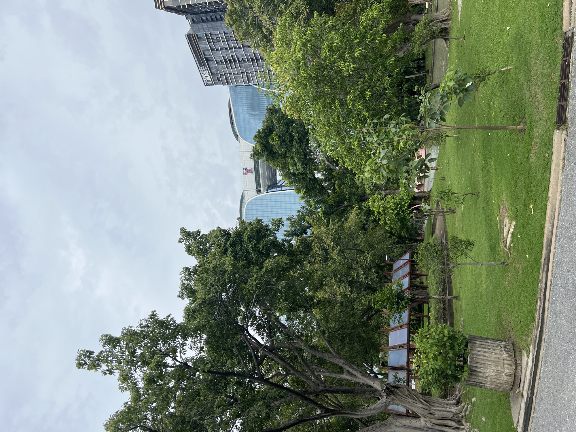 The image captures a view of Lumpini Park in Bangkok, Thailand, under an overcast sky. In the foreground, a paved pathway borders a well-maintained lawn dotted with several young trees. To the left, a large, mature tree with gnarled roots stands prominently, with a concrete planter containing lush green foliage positioned nearby. Behind the trees, several structures are visible: a row of covered gazebos with translucent roofing, and in the background, modern high-rise buildings, one with distinctive arched glass facades and a visible logo, and another with a grid-like exterior. The scene depicts a tranquil urban green space blending with the cityscape.