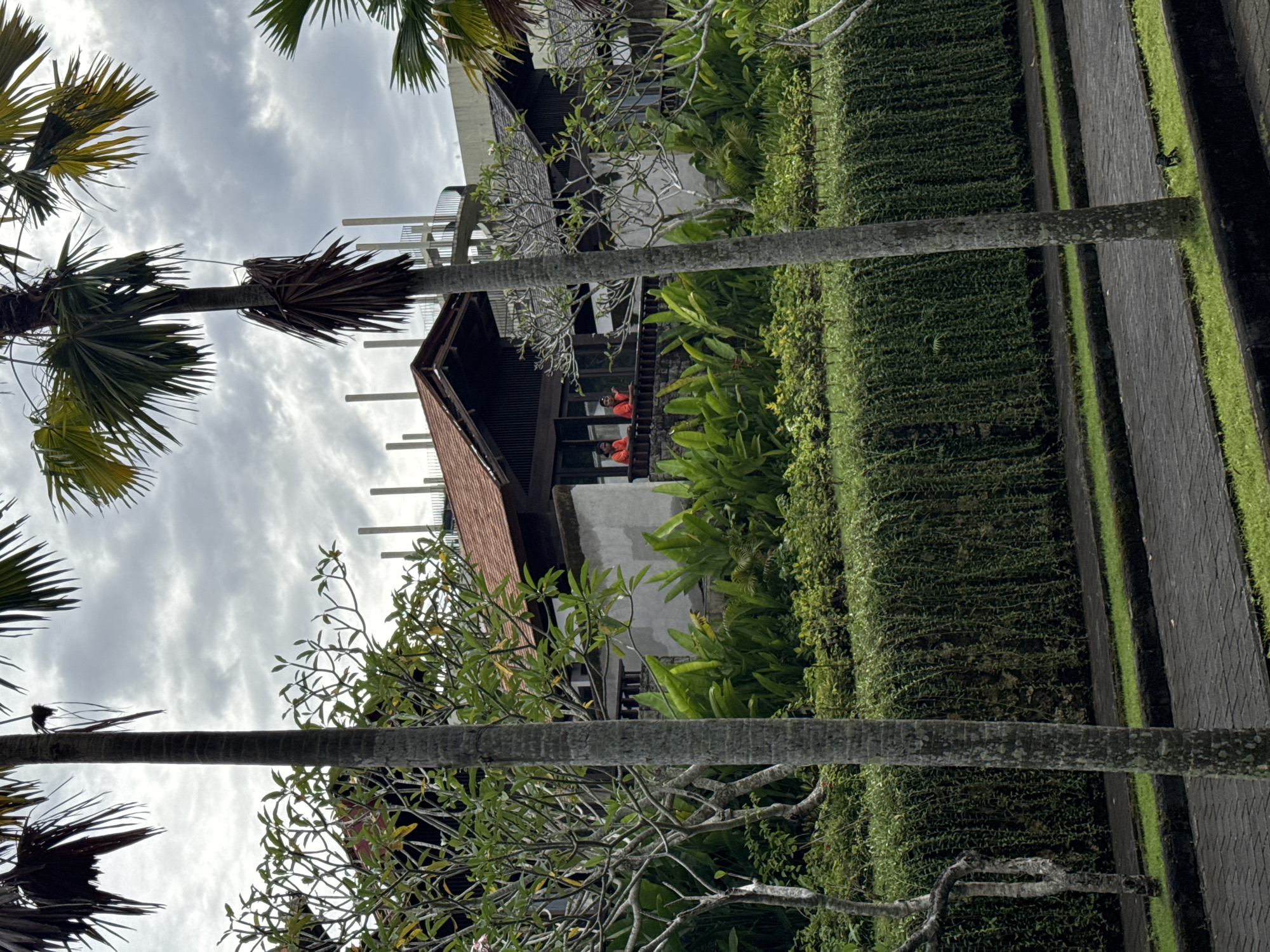 The image captures a lush tropical scene, likely a resort or residential area in Kuta Selatan, Indonesia, under an overcast sky. Tall palm trees, some with dried fronds, dominate the foreground and mid-ground, their trunks stretching vertically. Dense green foliage, including various trees, shrubs, and neatly trimmed hedges, fills much of the frame, creating a verdant environment.
In the mid-ground, a building with a distinctive reddish-brown tiled roof and a dark wooden balcony is visible. On this balcony, two individuals are present, both wearing bright orange tops, suggesting uniforms or matching attire. They appear to be standing and looking out. Behind this building, another structure with lighter-colored walls features a modern architectural element resembling a spiral staircase or curved balustrade.
Towards the bottom right, a dark, textured pathway or walkway, possibly made of pavers, extends horizontally, bordered by thin lines of bright green grass. The sky is largely covered by clouds, indicating an overcast day, which creates diffused lighting across the scene. No discernible activity beyond the presence of the two individuals is evident, and no text is visible in the image. The overall impression is one of a well-maintained and tranquil tropical setting.
