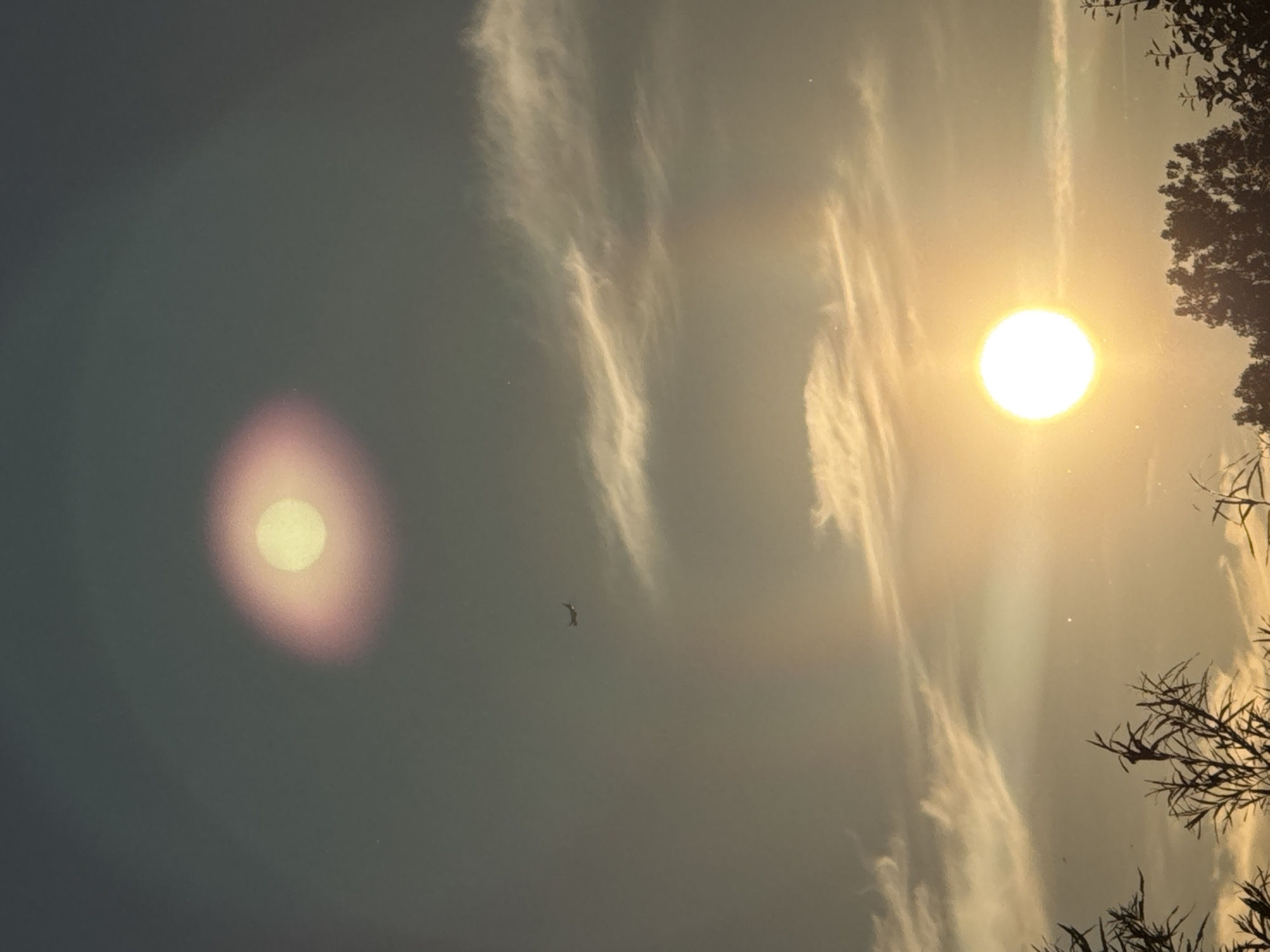 This image depicts a sunset sky over Vejle, Denmark. The scene is dominated by the sky, with the sun prominently featured as a bright, glowing orb near the bottom right, casting a warm, golden light. Wispy clouds are scattered across the sky, illuminated by the sun's rays. In the upper portion of the sky, there is another, fainter circular light, possibly a lens flare or atmospheric phenomenon. A small airplane is visible in the mid-sky. Silhouetted against the bright sky are the tops of trees and branches along the bottom edge of the frame. The overall mood is serene and atmospheric, capturing the beauty of a sunset.