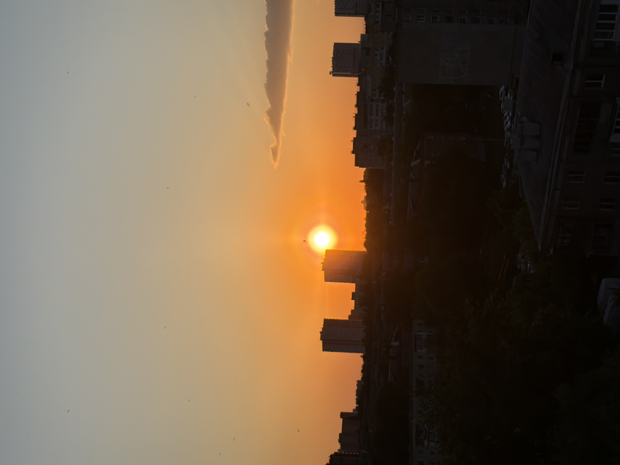 The image depicts a sunset over a cityscape. The sun is positioned in the center, casting an orange glow across the sky. Silhouettes of buildings line the horizon, interspersed with trees. A thin cloud is visible to the left of the sun. Several small birds are scattered across the sky. The city is of unknown location.