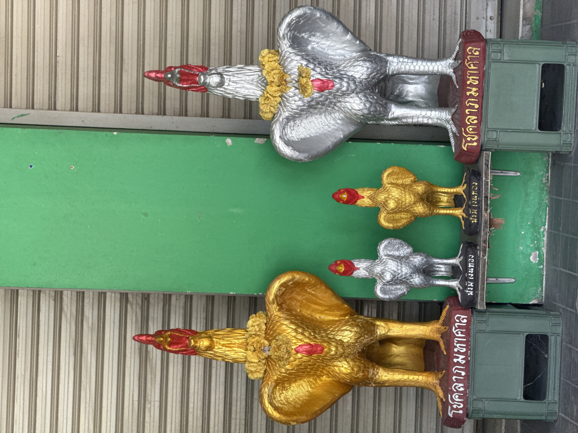 Two large golden and silver rooster statues are positioned in front of a green wall and a corrugated metal shutter in Chalong, Thailand. The golden rooster on the left is larger than the silver rooster on the right. Both statues have red details on their heads and chests, and are adorned with yellow flower garlands around their necks. Smaller golden and silver rooster statues are placed on a shelf in front of the larger statues. Each statue is mounted on a red base with white and gold Thai script. The larger statues are supported by green plastic crates. The scene appears to be outdoors, possibly outside a shop or business.
