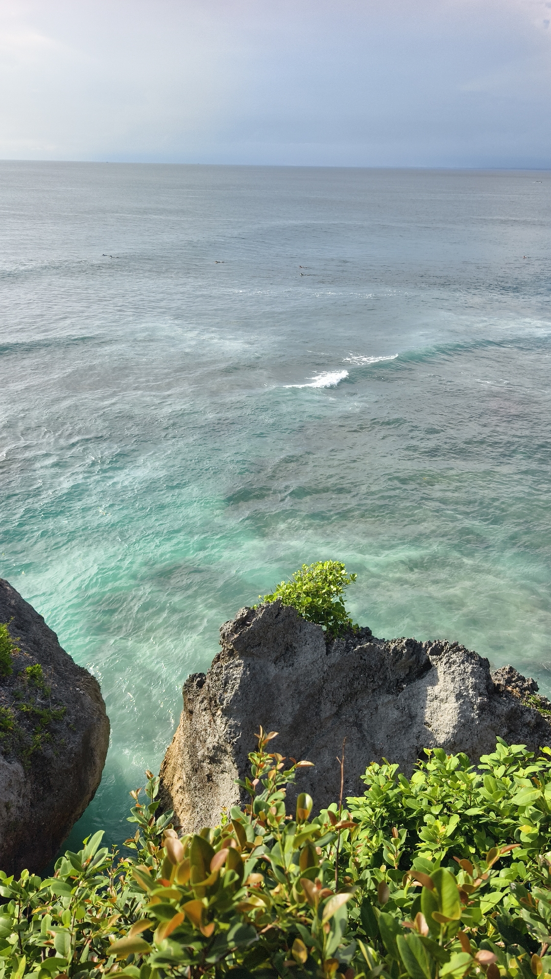 The image shows an elevated view of the ocean in Pecatu, Indonesia, with clear turquoise water visible between rocky cliffs. Small waves are present, and a few surfers are scattered in the distance. The foreground features lush green vegetation on top of the cliffs.