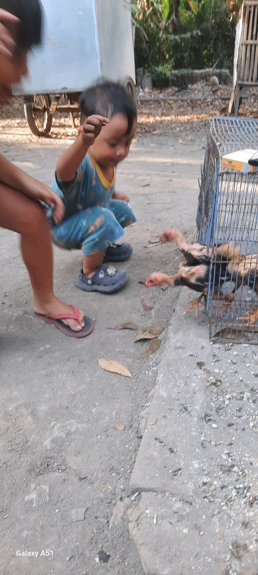 In Ploso, Indonesia, a young child wearing a blue and yellow outfit, along with dark blue crocs, is crouched down, looking at chickens in a blue wire cage. The child's right hand is raised, and they appear to be holding something. To the left, a person's legs are visible, with one foot wearing a pink and black flip-flop. The ground is a mixture of dirt and concrete. In the background, a light-colored cart with wheels is present, along with trees and vegetation, suggesting an outdoor setting.