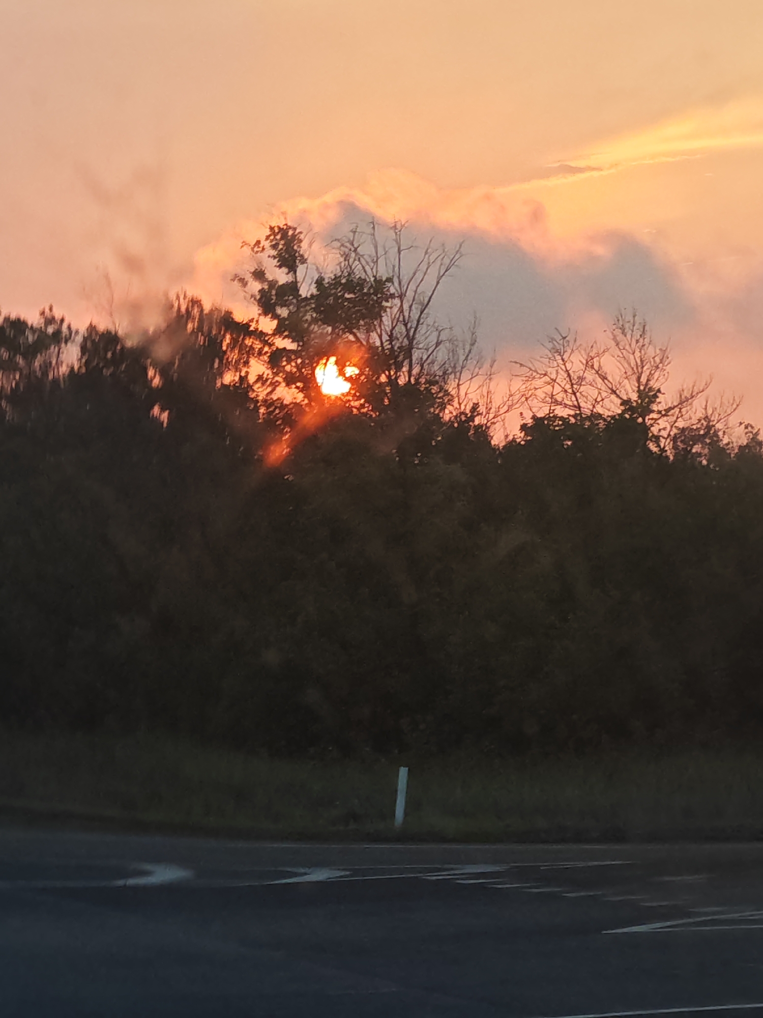 The image depicts a sunset over a natural landscape, likely on the outskirts of Междуреченск, Russia. The sun is partially obscured by clouds and silhouetted trees, casting a warm orange and pink glow across the sky. A line of dense trees and vegetation forms the midground, with their dark foliage contrasting against the vibrant sky. In the foreground, a paved road with white lane markings is visible, suggesting a transportation route near the natural area. A single white marker post stands along the edge of the road. The overall scene evokes a tranquil, natural setting at the end of the day.