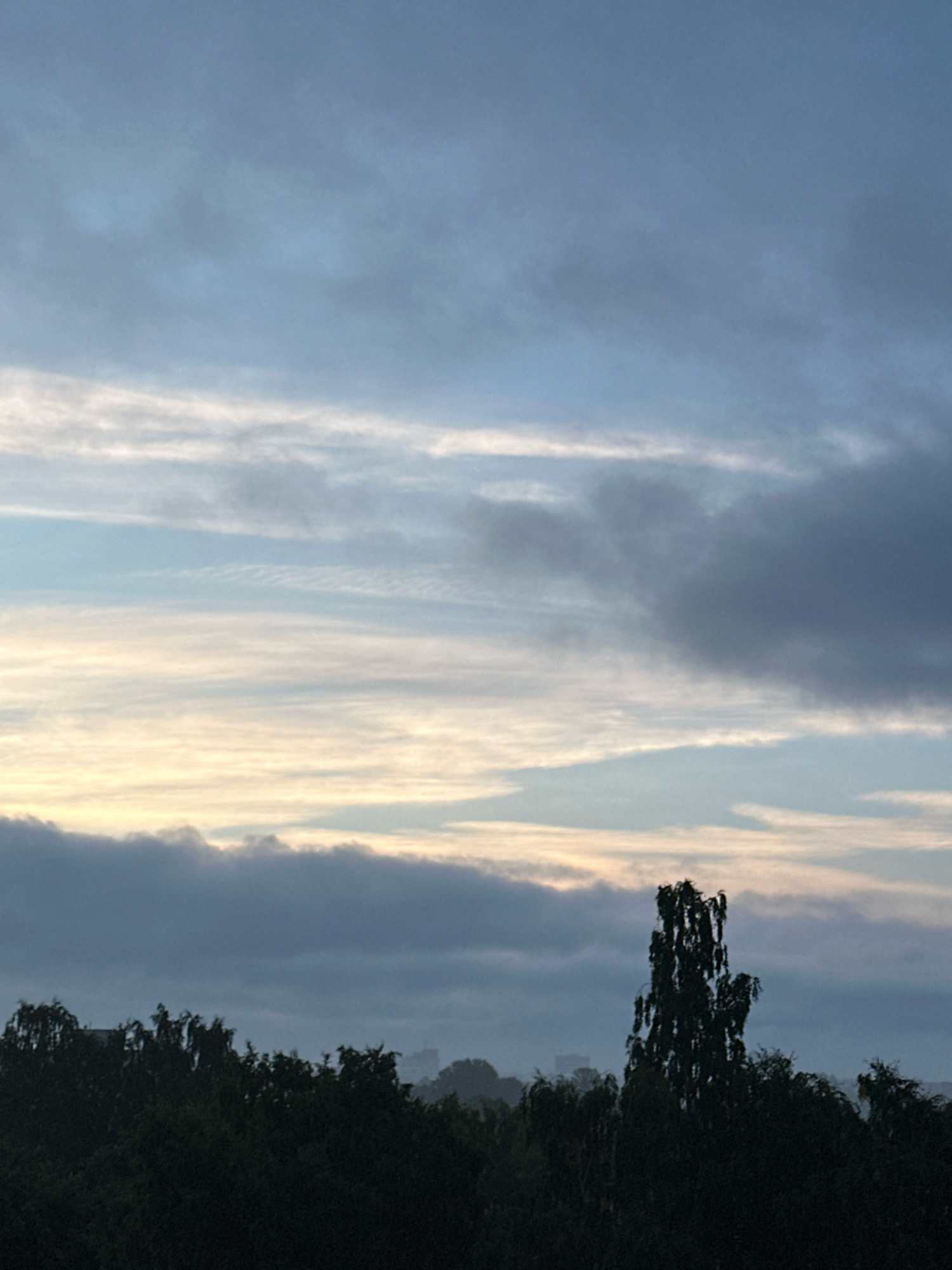 This is a vertical, mid-range, outdoor shot taken at dusk in Tallinn, Estonia. The image is dominated by a dramatic sky with horizontal bands of clouds. The lower part of the frame features a dark, silhouetted treeline with a tall, distinctive tree in the foreground, its branches reaching upwards. In the far distance, faint outlines of buildings are visible, suggesting an urban or suburban setting. The overall mood is serene and slightly melancholic, with the fading light casting a muted color palette over the scene.