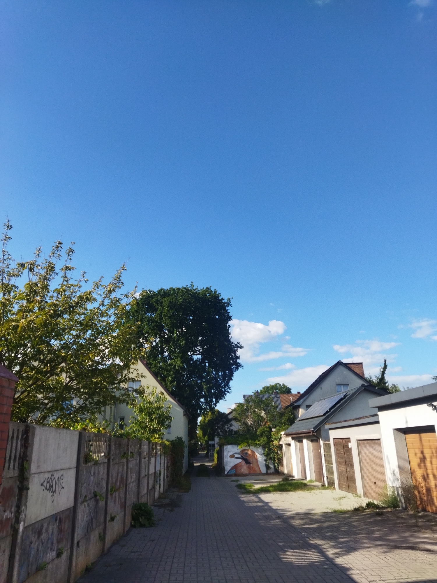The image depicts a residential street in Szczecin, Poland, on a clear, sunny day with a bright blue sky and scattered white clouds. The perspective is from the street, looking down an alleyway lined with houses and garages on the right and a concrete wall on the left.
On the left side of the street, a weathered concrete wall with graffiti runs along the edge. Behind the wall, a light-colored house with multiple windows is partially visible, surrounded by green trees and foliage. One tree on the left is larger and fuller, with green leaves.
The right side of the street features a row of garages with wooden doors. One garage has a distinctive mural painted on its wall depicting a bird holding a nut in its beak. A solar panel is visible on the roof of one of the houses. The street itself is paved with interlocking bricks, and shadows from the trees and buildings cast patterns on the ground. The overall impression is a quiet, suburban street scene.