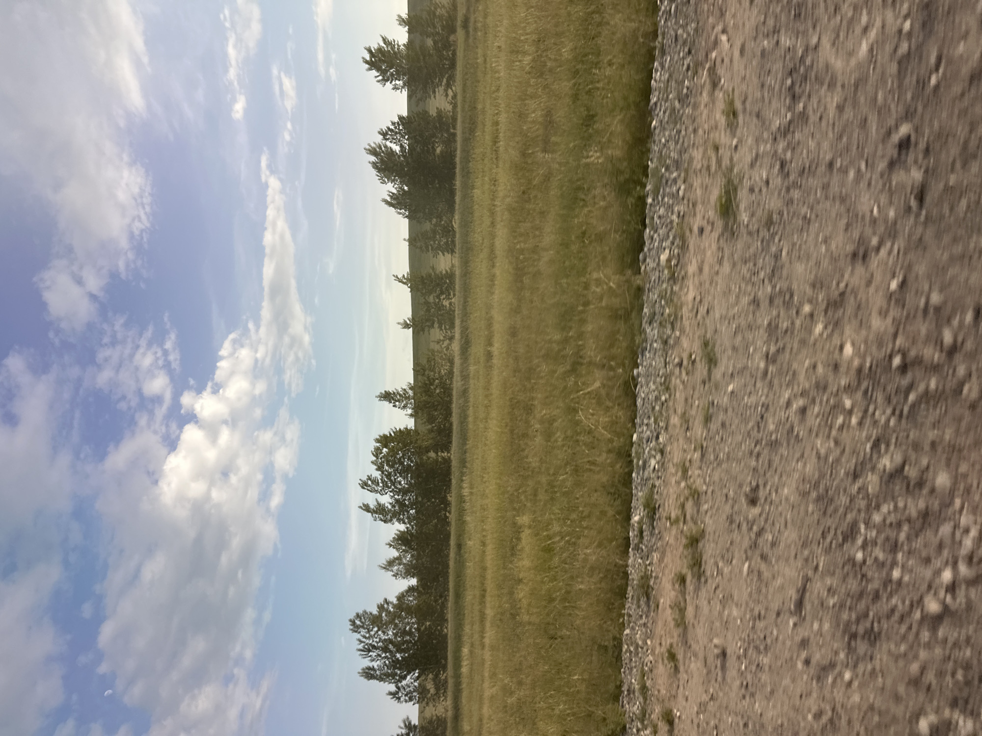 This is a vertical, medium-angle, outdoor, eye-level shot of a rural landscape under a partly cloudy sky. The image is oriented with the sky at the bottom and the ground at the top, suggesting it was taken with the camera rotated 90 degrees clockwise.
The scene is divided into three distinct horizontal bands. The bottom portion of the image is a bright, pale blue sky with scattered, fluffy white clouds. A sliver of the moon is visible in the upper left quadrant of the sky. The middle band features a dense line of trees with dark green foliage, silhouetted against the lighter sky. The trees are of varying heights and appear to be deciduous. The top portion of the image shows a wide, open field of dry, yellowish-green grass, stretching from the line of trees towards the foreground. A gravel road runs along the right edge of the image, from the bottom to the top, with a strip of the grassy field bordering it on the left. The gravel road is composed of small, light-colored stones and dirt.
There are no people or distinct objects visible in the image, other than the natural elements of sky, trees, grass, and road. The activity taking place is simply the existence of the landscape. The time of day appears to be daytime, possibly late afternoon or early evening, given the soft lighting and the visible moon. The weather is clear with some cloud cover. The location cues of trees, grass, and a gravel road suggest a rural or undeveloped area, consistent with the provided location context of Novonikolaevka, Russia. No text is visible in the image. The overall mood is peaceful and serene.