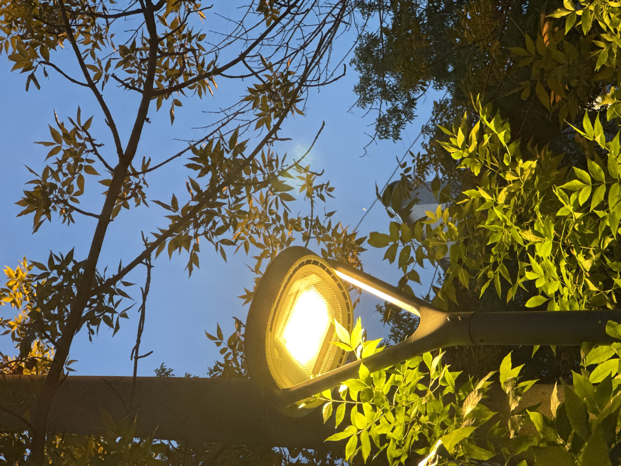 A low-angle, upward-looking shot captures a bright street light amidst a canopy of trees against a deep blue sky. The illuminated street light, positioned in the lower right and center, glows intensely with a warm, yellowish-white light, casting reflections on its metallic and glass surfaces. Its modern, sleek design features a wide, elliptical head.
Surrounding the light, numerous tree branches, some bare and others adorned with vibrant green leaves, frame the upper and side portions of the image. The leaves closest to the light are brightly illuminated, appearing almost golden, while those further away are darker, creating a striking contrast. The branches are silhouetted against the clear, twilight sky, showcasing their intricate patterns. The sky itself is a gradient of deep blue, indicating either dusk, dawn, or nighttime.
No human or animal activity is visible, and the scene is static. The overall impression is one of an urban or park setting at night, with the artificial light providing a focal point amidst the natural elements. There is no discernible text in the image. The context provided indicates the location is Moscow, Russia.