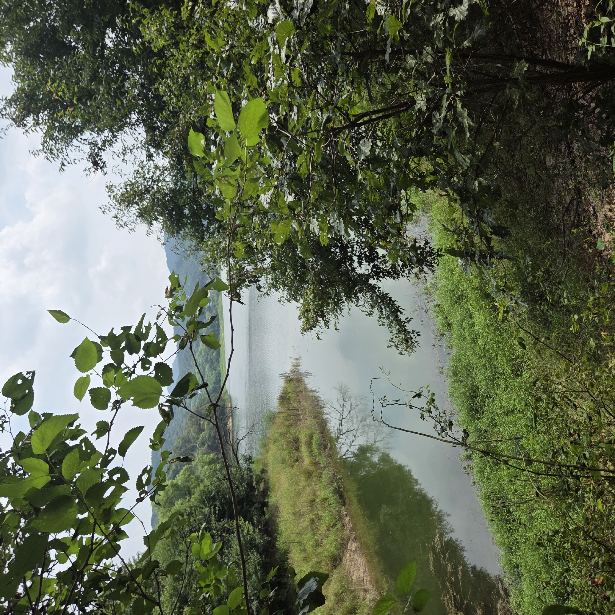 A tranquil, natural scene unfolds at an unnamed reservoir or large pond located in Gapcheon-myeon, South Korea. The water's surface is calm, reflecting the overcast sky and the surrounding lush greenery. Dense foliage, primarily trees with abundant leaves, frames the view, with branches and leaves extending into the foreground from the left and right sides of the image. On the left bank, a strip of dry, sandy earth meets a band of tall, green grass and other vegetation that slopes down to the water's edge. Across the water, rolling hills covered in trees recede into the distance under a sky dotted with white clouds. The overall impression is one of a secluded, undeveloped natural landscape.