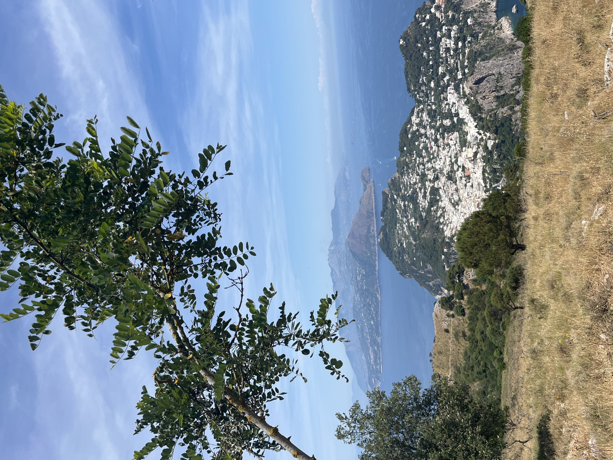 The image captures a panoramic view from a hilltop overlooking the town of Anacapri, Italy, and the surrounding azure waters of the Mediterranean Sea. In the foreground, dry, golden grass covers the hillside, interspersed with a few sparse trees. A large tree branch with green leaves extends into the frame from the upper left corner, partially obscuring the sky.
Below the hilltop, the town of Anacapri is visible, characterized by its dense cluster of white buildings clinging to the steep slopes of the island. The architecture appears traditional, with houses built close together, creating a mosaic of rooftops. The town is nestled against dramatic cliffs that plunge into the sea.
In the distance, the blue expanse of the sea stretches out, dotted with faint clouds on the horizon. The coastline of the Italian mainland or other islands is visible as a hazy, mountainous silhouette against the pale blue sky. The overall scene is one of natural beauty and scenic coastal landscape, suggesting a warm, sunny day. There are no people or discernible actions depicted in the image.