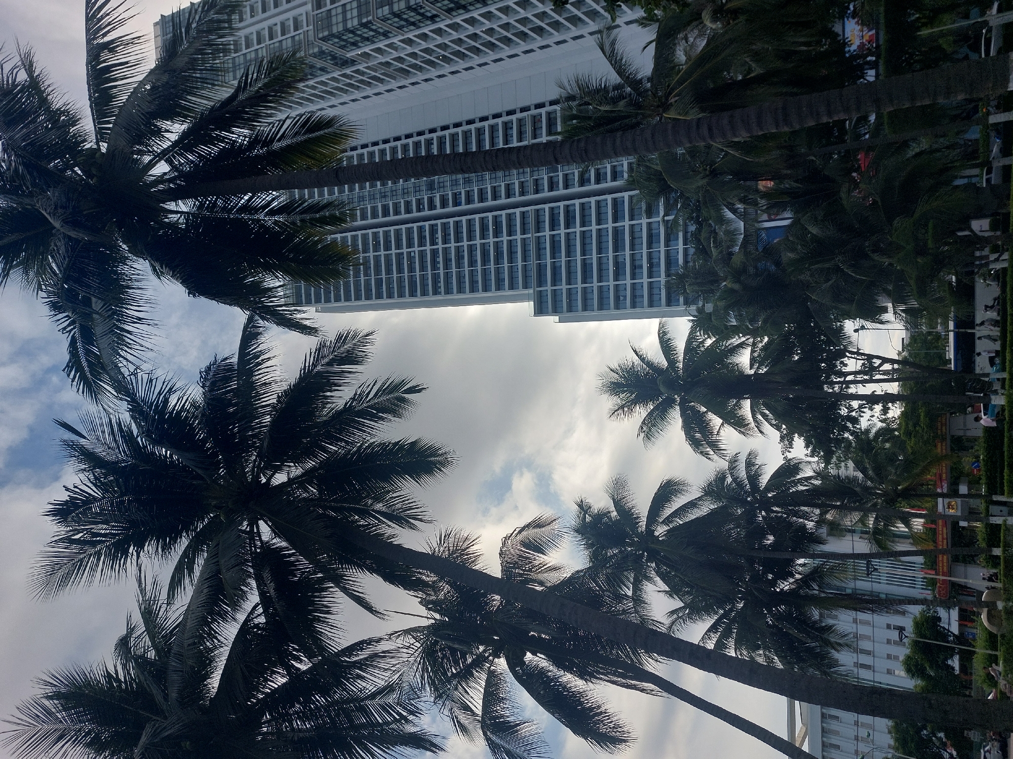 The image captures a perspective looking upwards at a modern, multi-story building through a canopy of silhouetted palm trees. The building is characterized by its uniform grid of windows and a light-colored facade. The sky above is partly cloudy, with patches of blue sky visible through the clouds, suggesting it might be daytime, possibly late morning or afternoon. The palm trees, with their fronds extending outwards, create a natural frame for the architectural structure and the sky. The scene evokes a tropical or subtropical environment, consistent with the location context of Nha Trang, Vietnam. No specific activity is clearly depicted, but the presence of the building implies an urban setting, likely a city or resort area. The overall mood is serene, with the contrast between the organic forms of the palm trees and the geometric lines of the building creating visual interest. There is no visible text in the image.