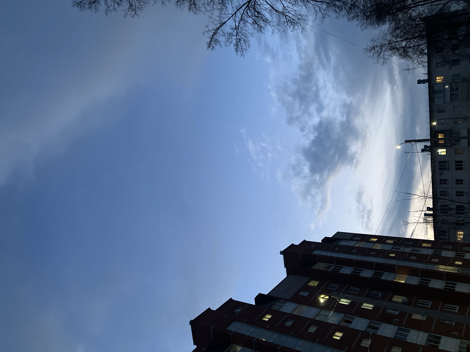 The image shows a low-angle view of a city scene in Chaikovsky, Russia, at dusk or twilight. A modern brick apartment building with lit windows occupies the lower right of the frame. Next to it is an older, gray building with lighted windows. Silhouetted branches of trees are visible along the top edge of the image, framing the sky. The sky is a mix of blue and gray, with some cloud cover. A street lamp illuminates the modern brick building. The overall scene suggests an urban environment at the transition between day and night.
