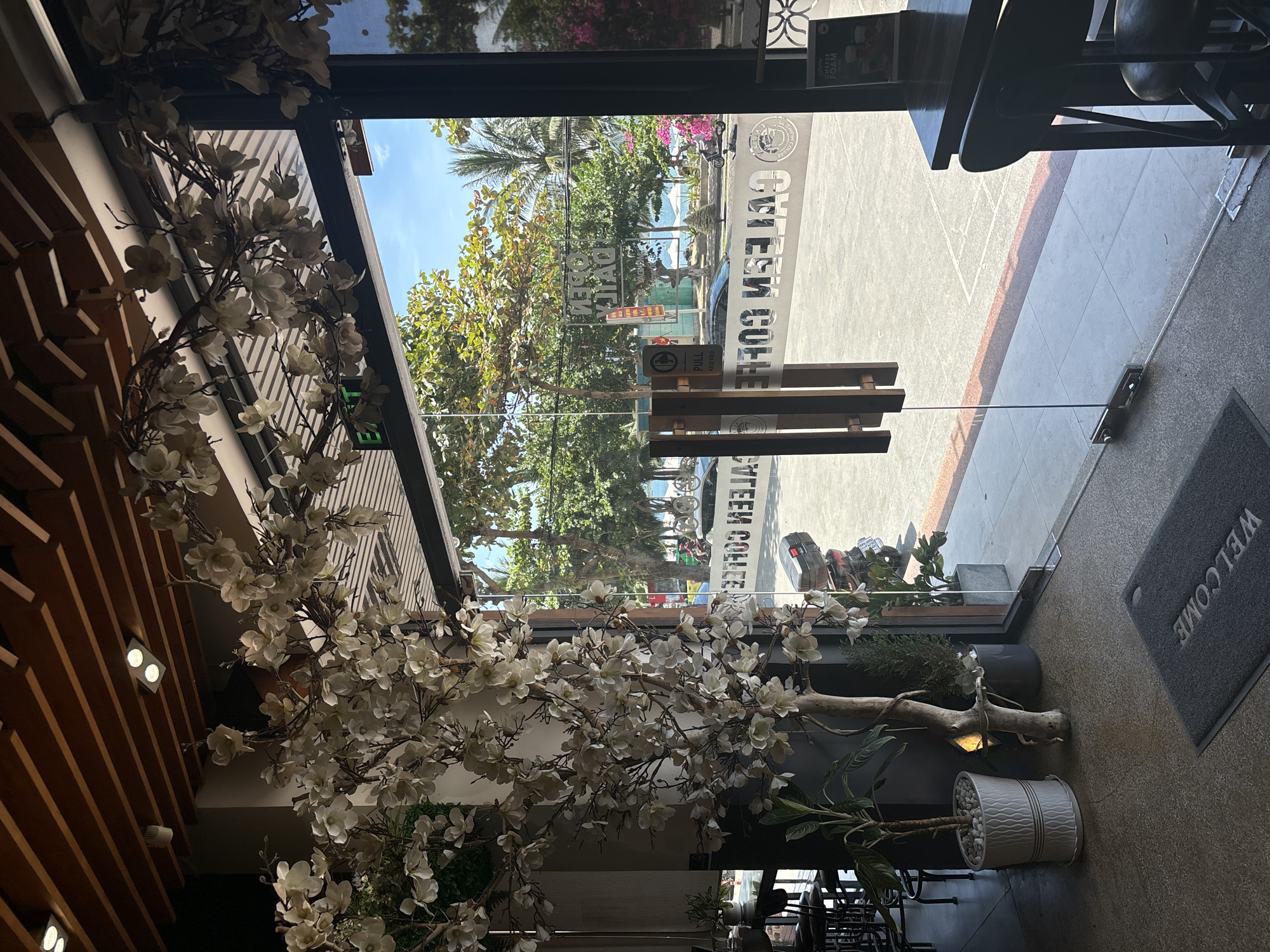 This image captures the entrance to a coffee shop, likely in the coastal city of Nha Trang, Vietnam, based on the architecture and signage. The foreground features a large, artificial tree with white blossoms, positioned to the left of a glass door. A dark grey "WELCOME" doormat is visible on the floor in front of the entrance.
Through the glass doors, the exterior scene is visible. The street is paved, with several cars and motorcycles parked and in motion. The coffee shop's name, "CALEEN COFFEE," is printed in white text on the glass, along with the words "OPEN DAILY." Beyond the street, palm trees and other lush green foliage line a sidewalk, leading towards a bright blue ocean under a clear sky. The presence of beach umbrellas suggests the proximity to a beach.
Inside the coffee shop, the ceiling is adorned with wooden beams and recessed lighting. A table and chairs are partially visible to the right of the entrance. The overall impression is of a bright and welcoming establishment situated in a tropical urban environment.
