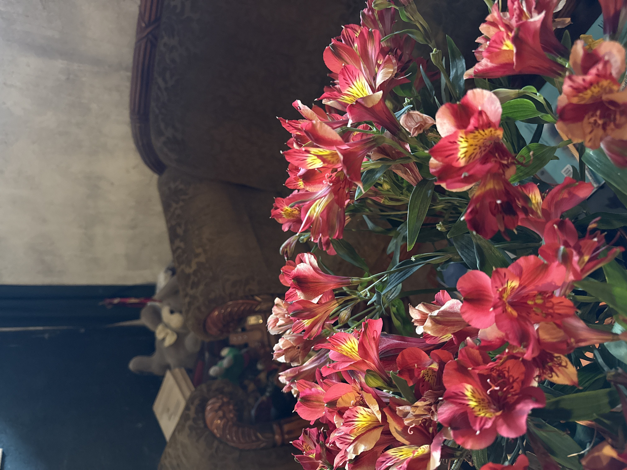 Here's a detailed description of the image:
**Scene:** An indoor shot featuring a bouquet of red and yellow Alstroemeria flowers. The flowers are in full bloom and dominate the right side of the frame. Green leaves are interspersed among the blossoms.
**Objects:**
- Alstroemeria flowers
- Green leaves
- Brown patterned upholstery of a couch or chair
**Environment:** The image is likely taken indoors. To the left of the flowers, there is part of a brown couch or chair with a busy pattern. Further back, out of focus, appears to be a teddy bear or stuffed animal sitting on the couch. There is a wall behind the couch.
**Note:** The image does not provide information about a specific location or city.