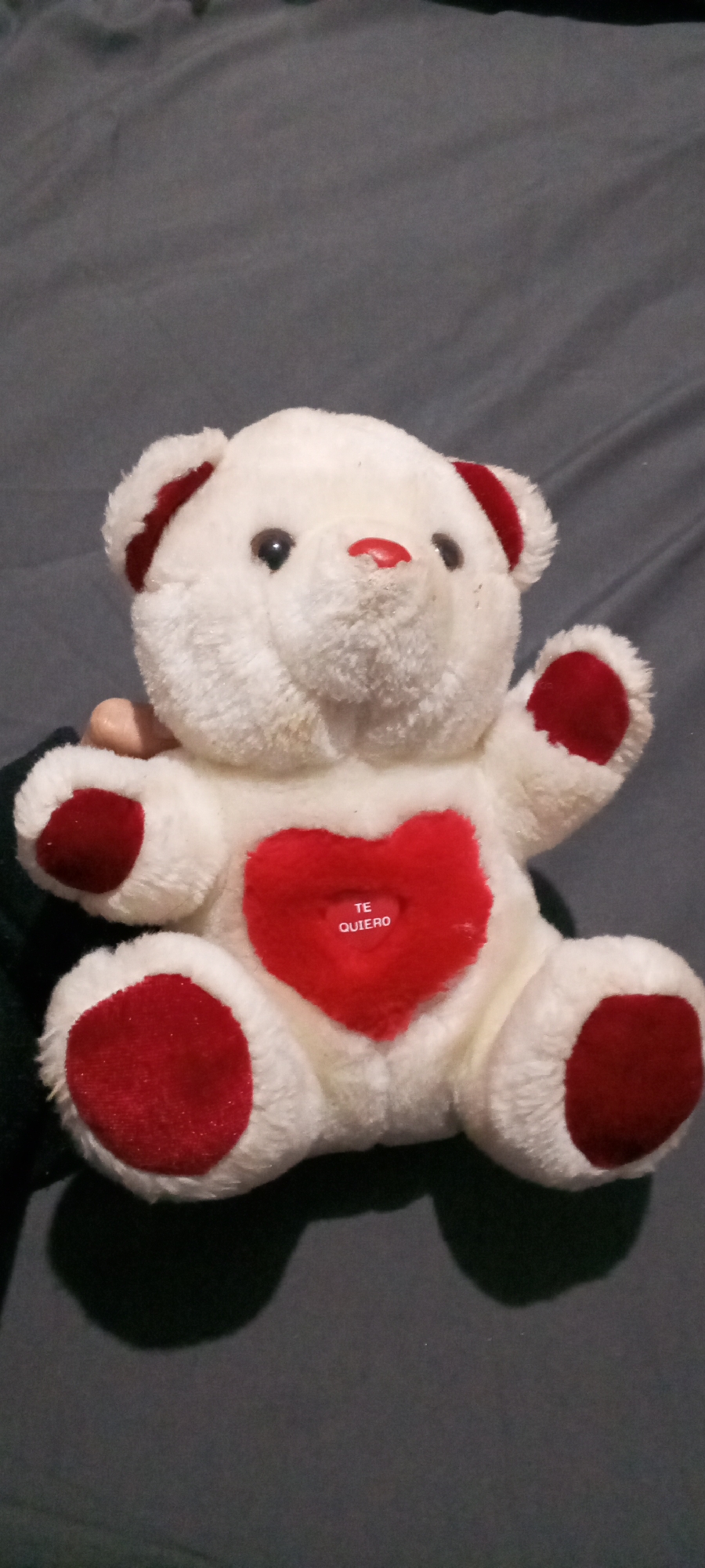 A white plush teddy bear with red accents is positioned against a dark gray fabric background. The bear has red patches on its ears, paws, and a heart on its chest. The phrase "TE QUIERO" is inscribed on the heart. The bear's nose is also red. The bear is being held by a person in their left hand. The image was taken in Juan Griego, Venezuela.