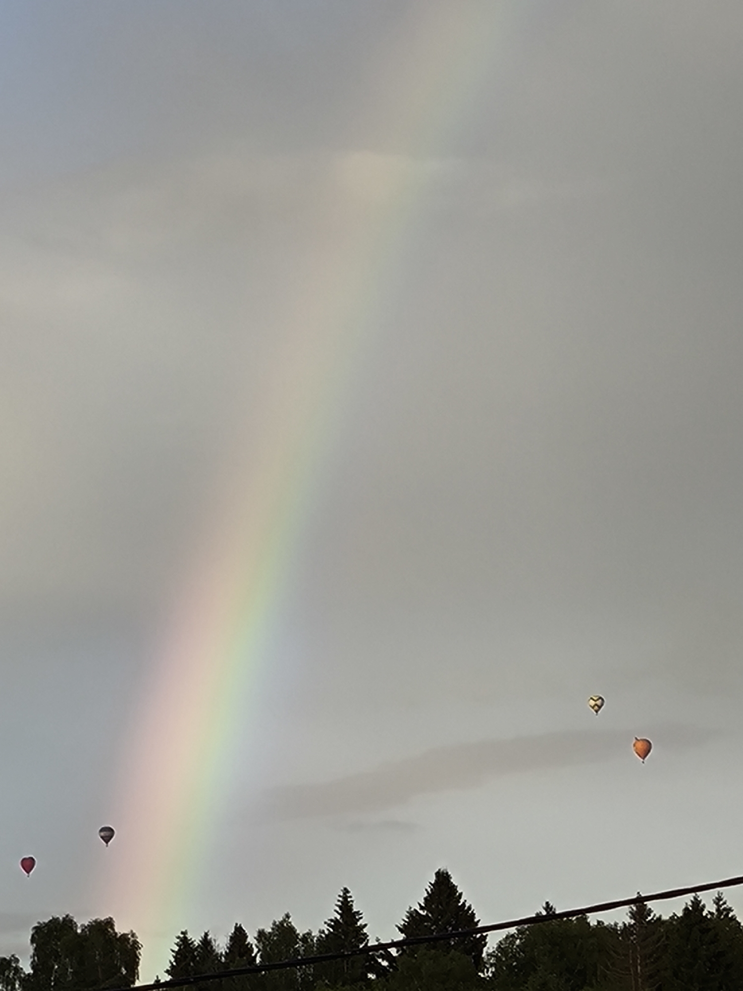 A wide shot captures a muted sky with a faint rainbow stretching diagonally from the lower left to the upper middle. Several hot air balloons are visible against the sky: two dark balloons, one heart-shaped and red, are in the lower left quadrant, and further to the right, two more balloons are present. One is yellow with a black checkered pattern, and the other is orange and round. A dark line of trees, with some appearing to be tall conifers, forms a border across the bottom of the image. The overall lighting is dim, suggesting twilight or an overcast day.