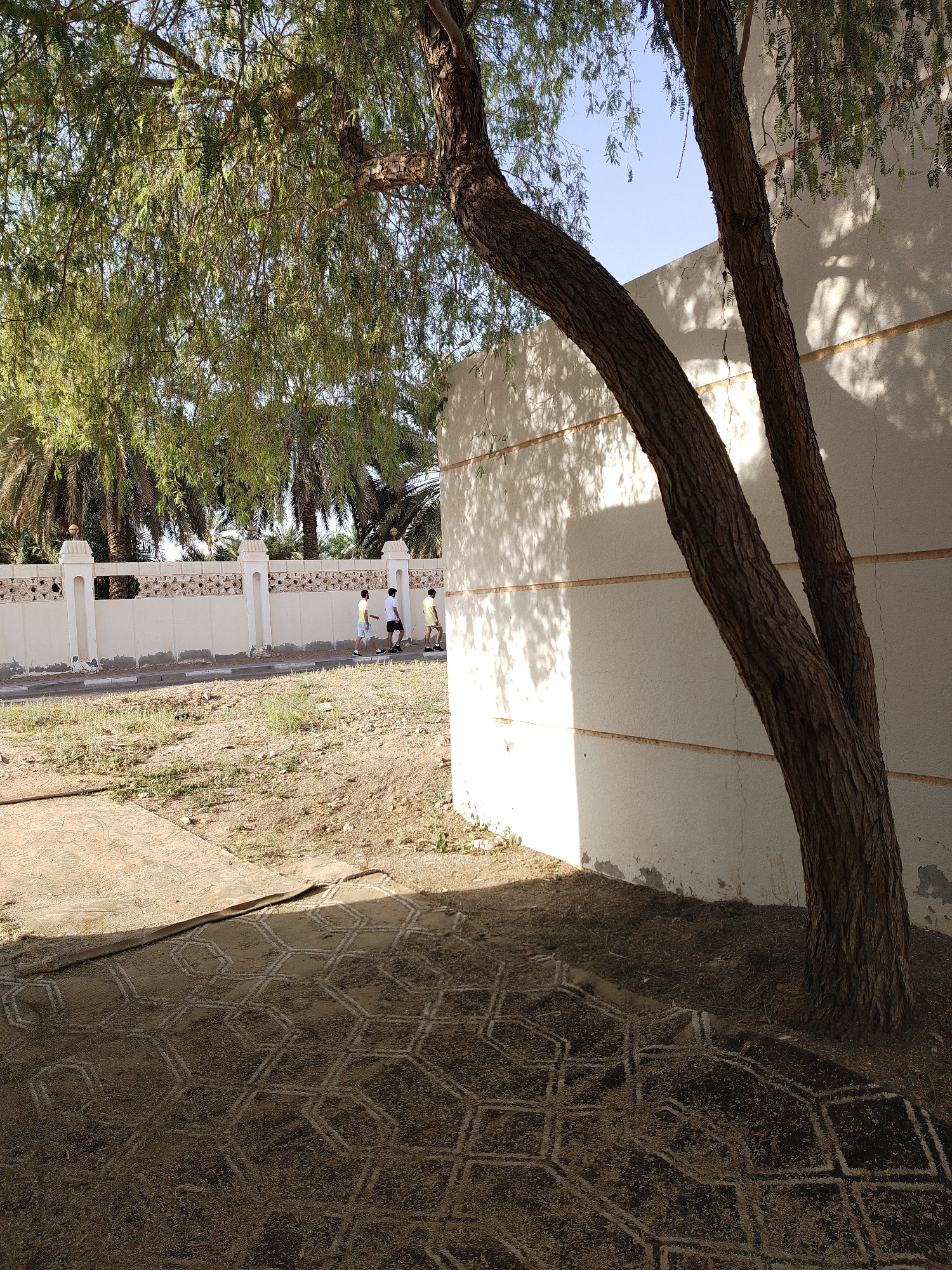 Al Mas'oudi, United Arab Emirates. Exterior scene: A mature tree obscures a corner of a white building with horizontal molding. The foreground features patterned paving stones. Three figures are walking along the street next to the wall in the background. The foliage of trees is visible behind the wall.
