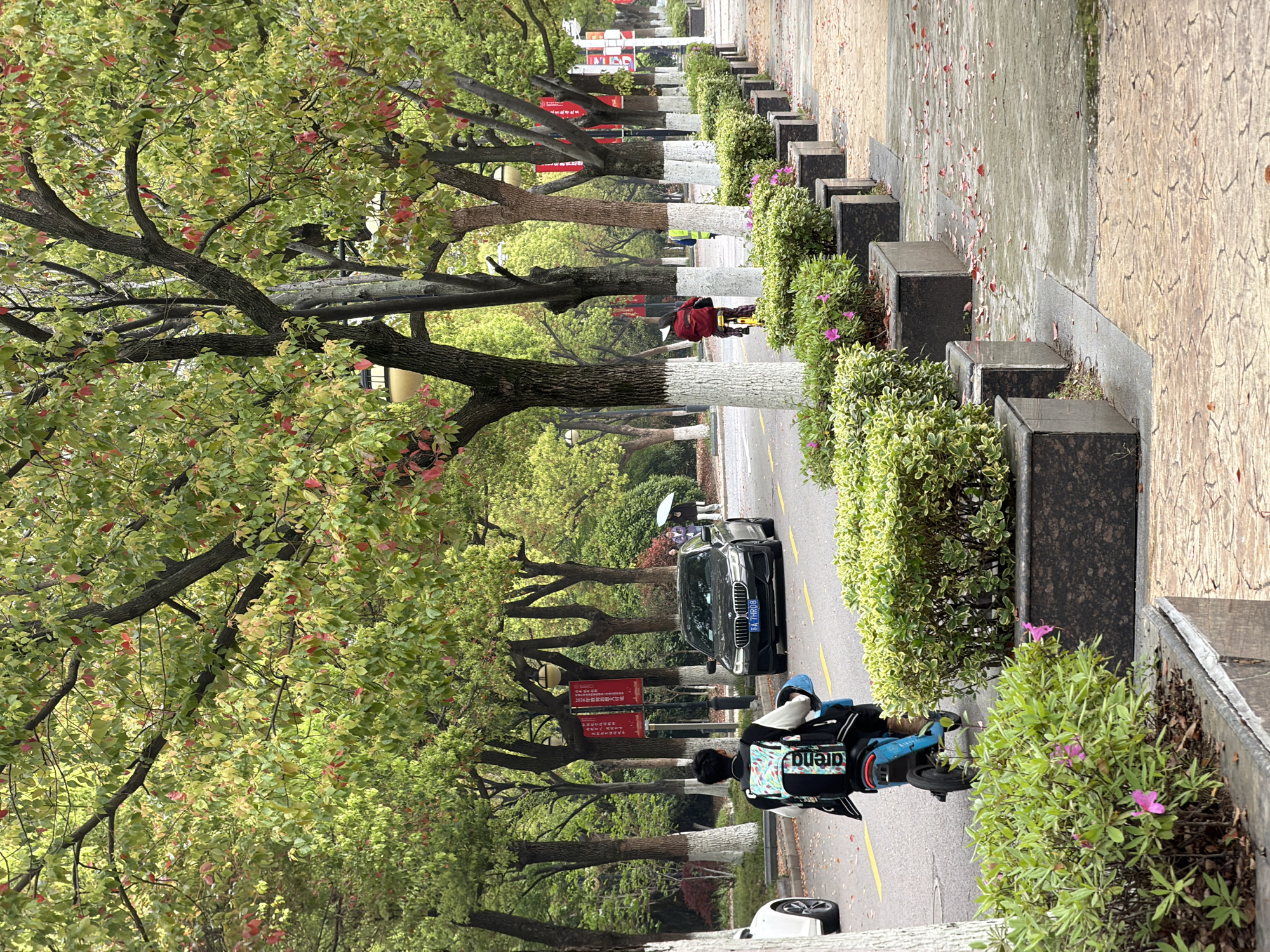 The image depicts a street scene in the Jiangning District, China, characterized by a tree-lined avenue. Trees with green and some reddish leaves line the street, their trunks partially painted white. A black BMW is visible driving down the street. A person on a blue scooter is riding alongside the curb, wearing a jacket with an "arena" logo. Concrete planters with green bushes and a few pink flowers are spaced along the edge of the sidewalk. In the distance, other people can be seen walking along the road. Banners with Chinese characters are attached to some of the trees. The sky appears overcast, suggesting it might be a rainy or cloudy day. The sidewalks appear wet.