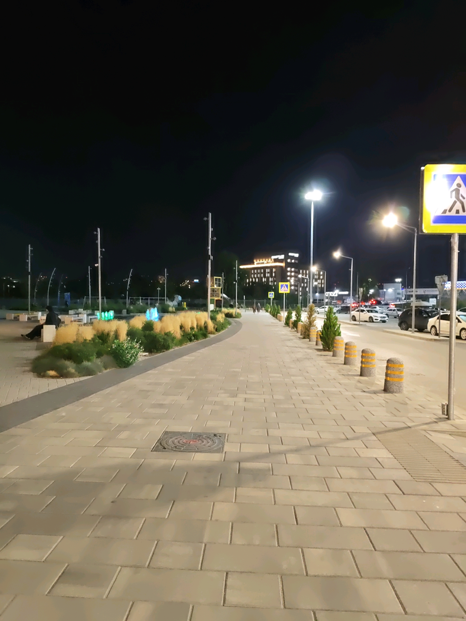 This is a night-time, eye-level, vertical shot of a pedestrian sidewalk in Rostov-on-Don, Russia, likely near a park or recreational area, given the presence of decorative grasses and low-lying bushes. The sidewalk is paved with light-colored rectangular tiles, with a visible manhole cover in the foreground. To the left, several lampposts line a grassy area with illuminated decorative plants. In the background, a person is seated on a bench. Across the street, there's a road with traffic, including cars, and more lampposts. A pedestrian crossing sign is prominently displayed on the right side of the image. Buildings are visible in the distance, illuminated by artificial lights.