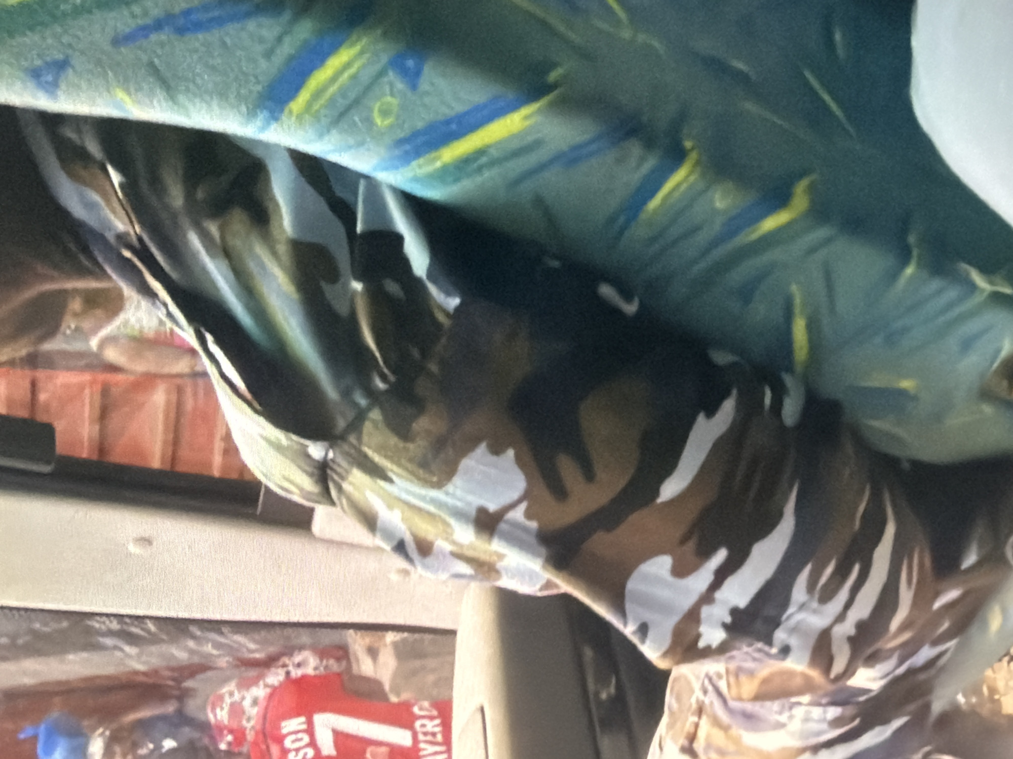 The image shows a close-up view of a person wearing a camouflage jacket, with a blue and yellow patterned fabric visible to the right. In the background, a red shirt with the number 7 and the word "SON" is partially visible, suggesting it belongs to a sports jersey. The setting appears to be indoors, possibly within a vehicle, given the presence of upholstery and a window. The lighting is dim, with the focus on the clothing and the textures of the fabrics.