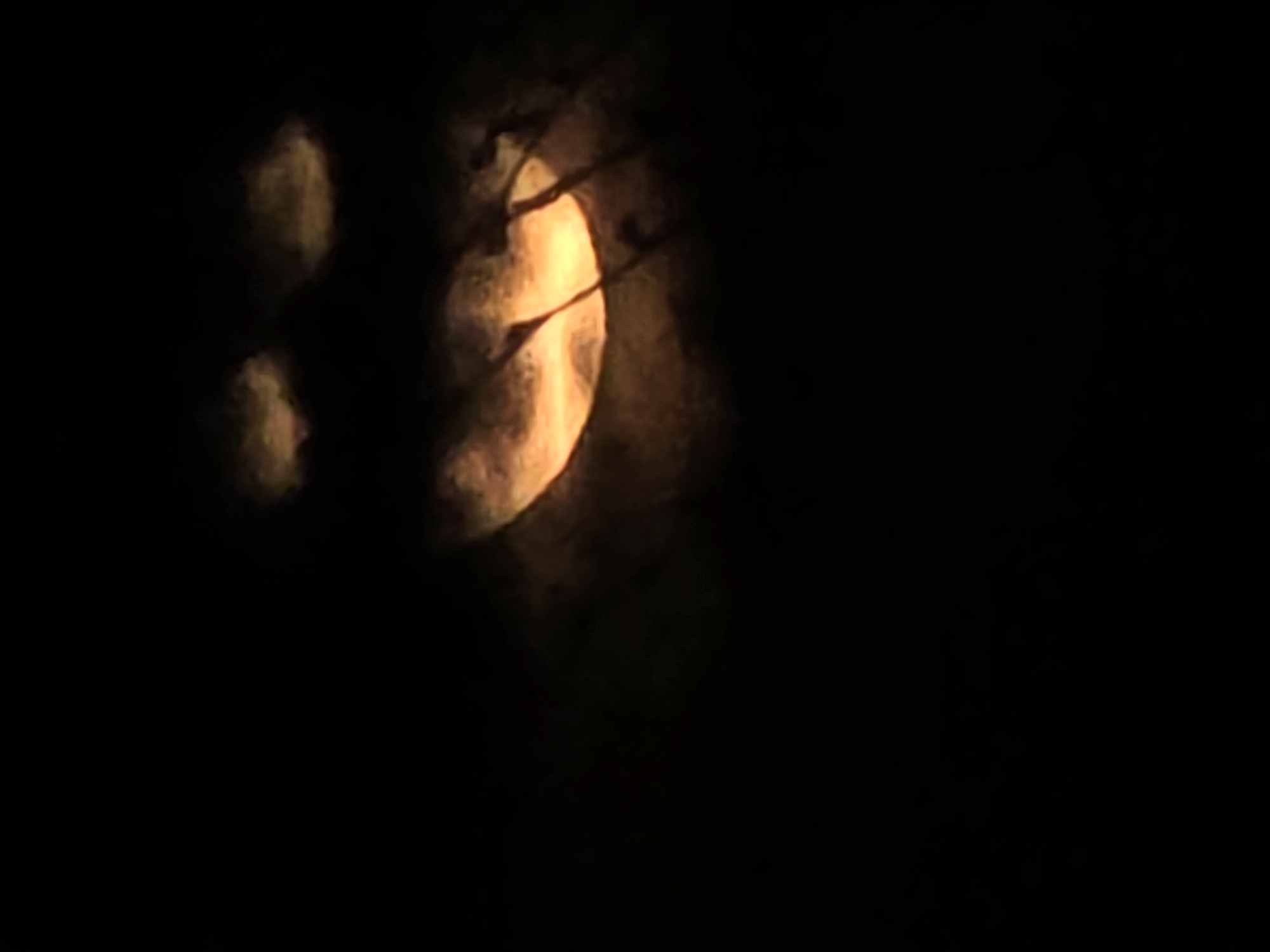 The image shows a bright orange moon partially obscured by dark, blurred shapes, possibly tree branches, against a completely black background. The moon is located on the left side of the frame, and the blurred shapes are in front of it. The environment is dark.