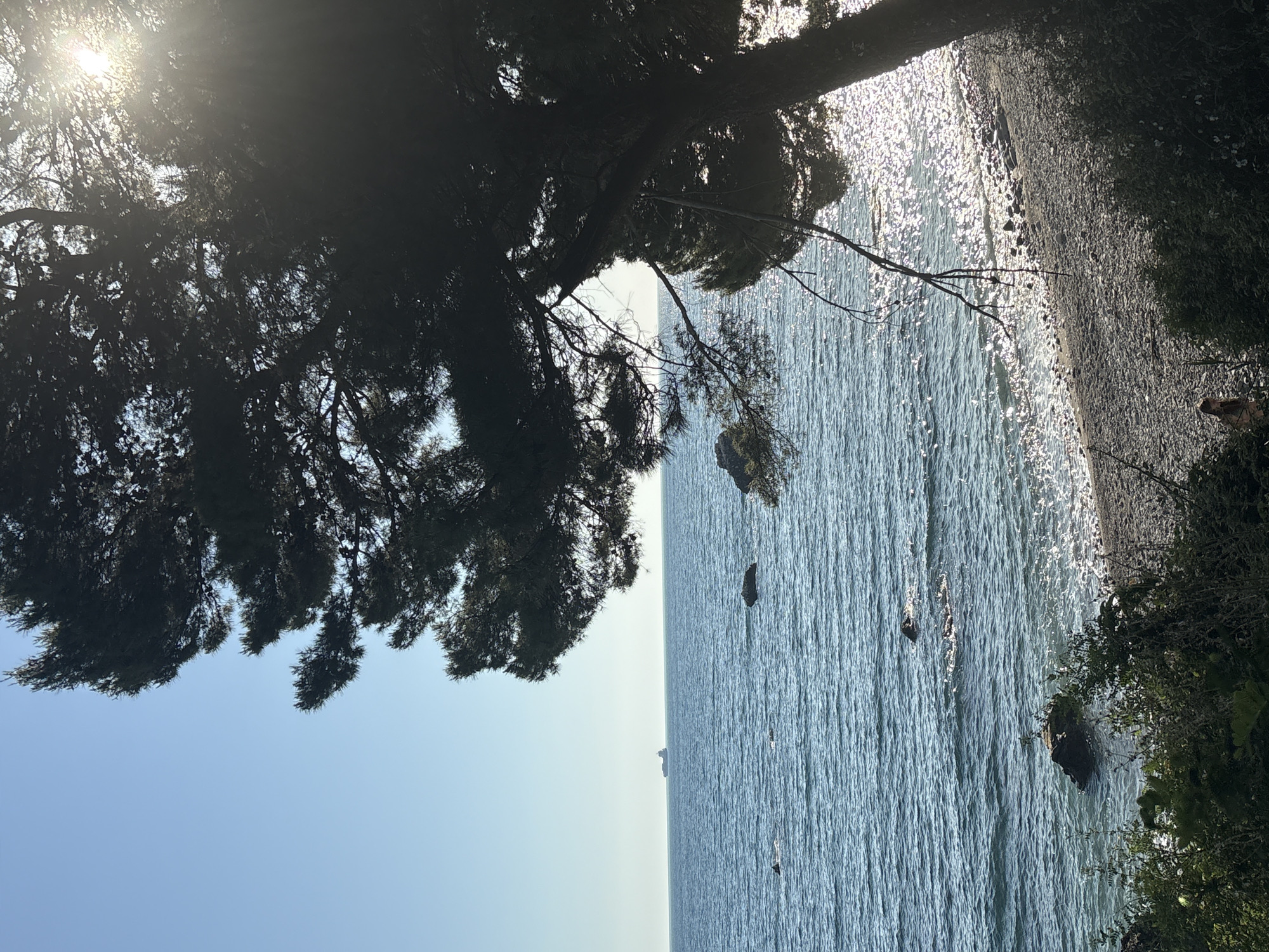 The image captures a view from a coastal area in Bar, Montenegro. A tree overhangs the scene, partially obscuring the sky, with the sun shining through its branches. Below, the Adriatic Sea stretches out to the horizon. Several rocks are visible in the water near the shoreline. The shoreline itself appears to be a mix of pebbles and vegetation. The water is reflecting sunlight, creating a shimmering effect. In the distance, a vessel can be seen on the sea.