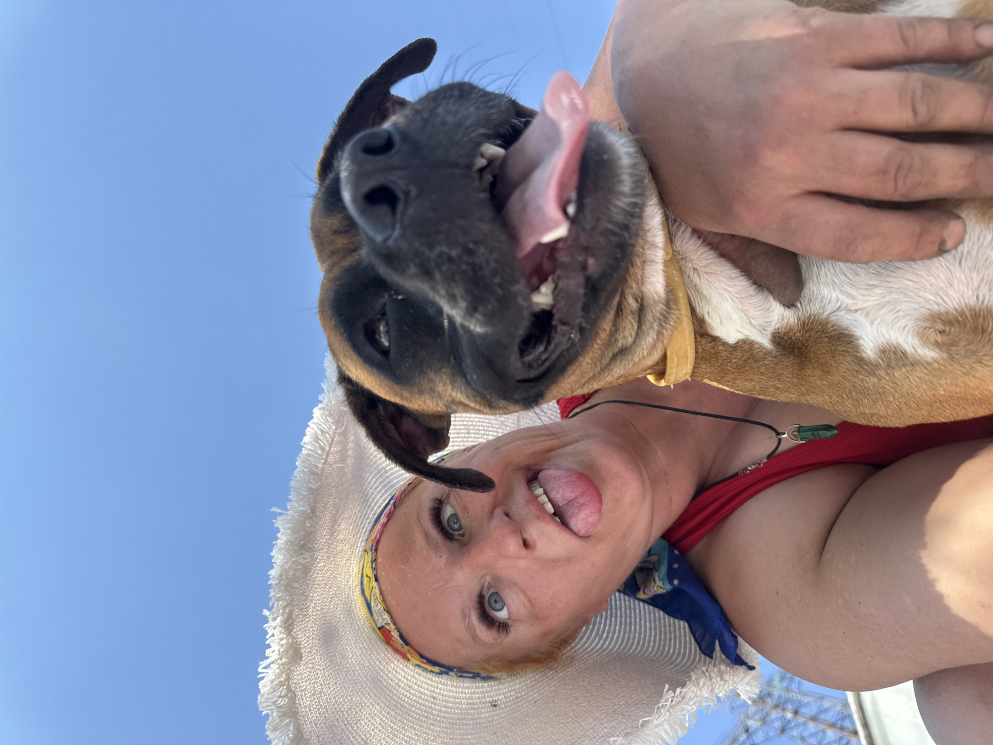 A low-angle, selfie-style shot captures a woman and a boxer dog against a bright blue sky. The woman, wearing a wide-brimmed white hat with a colorful patterned band, a red top, and a blue scarf, is tilting her head back and sticking out her tongue, mimicking the dog's action. The dog, held by someone out of frame, has its mouth open, tongue extended, and teeth visible. The dog has a tan and white patterned chest and black nose with short dark brown fur on the head. A yellow collar is visible around the dog's neck. Part of a necklace is seen on the woman, and power lines or cables are visible in the distant background. The location of the image is Chaikovsky, Russia, which is implied by the location of where the image was taken from.
