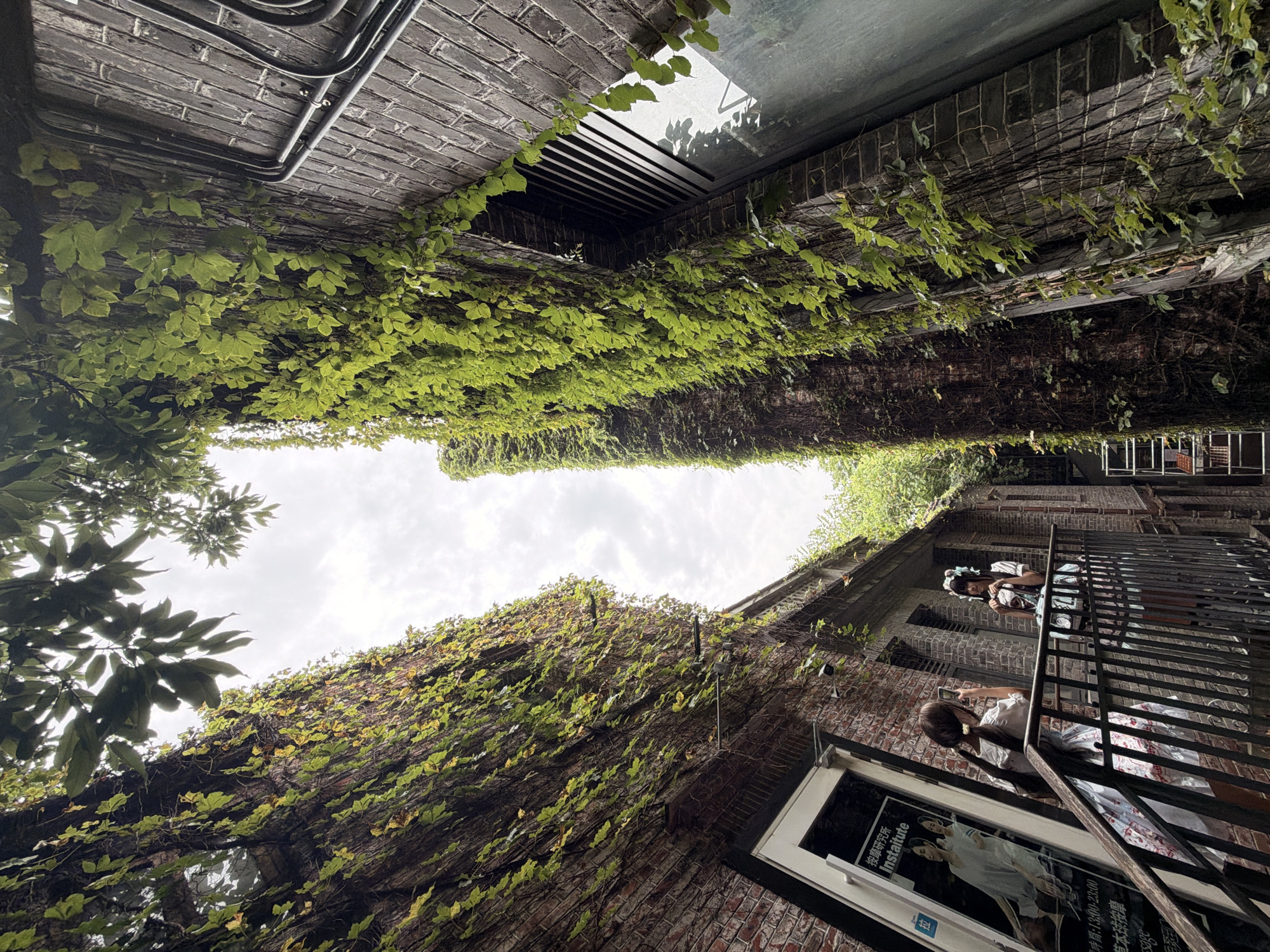 The image shows an alleyway between two brick buildings in Chancheng District, China, with a sky visible above. The brick walls are extensively covered with green ivy, creating a lush, overgrown effect. In the foreground, on a metal staircase and railing, two individuals are present. One, wearing a white top and a patterned dress, is taking a picture with a mobile phone. The other, in a white top and a short, light-colored skirt, is standing nearby, also looking towards the phone. A glass door with text and images is visible on the left building, and a window with horizontal slats is on the right building. The overall impression is of an urban environment softened by the pervasive natural growth.