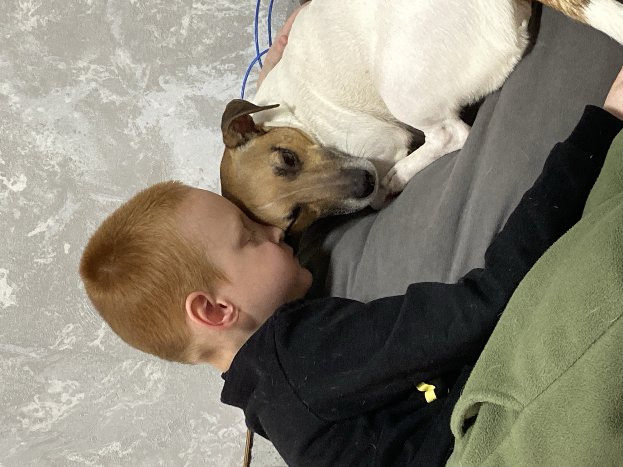 A boy with red hair and a black hooded sweatshirt is lying on a person wearing a gray shirt, with a brown and white dog lying on top of them. The boy's face is resting on the dog's head. There is a light green fleece garment draped over the lower right portion of the image. The background is a gray and white wall. The location is not specified.