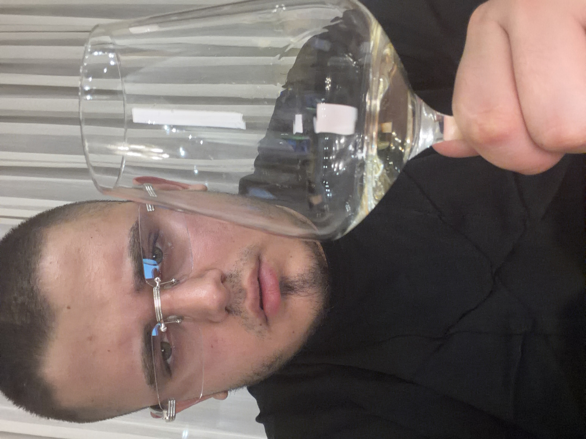 A close-up, medium shot photograph shows a young man in Sofia, Bulgaria, holding a wine glass filled with a pale yellow liquid. The man is positioned slightly to the left of the frame, looking directly at the camera. He has short, dark hair and is wearing clear-framed glasses with a silver accent on the temples. His attire consists of a black, textured crewneck shirt. A thin, vertical soul patch is visible on his chin. The wine glass, held in his right hand, occupies the majority of the right side of the image. The background features vertical, light-colored blinds, with a hint of indoor lighting reflected on the glass. The overall lighting is dim, creating a slightly muted color palette.