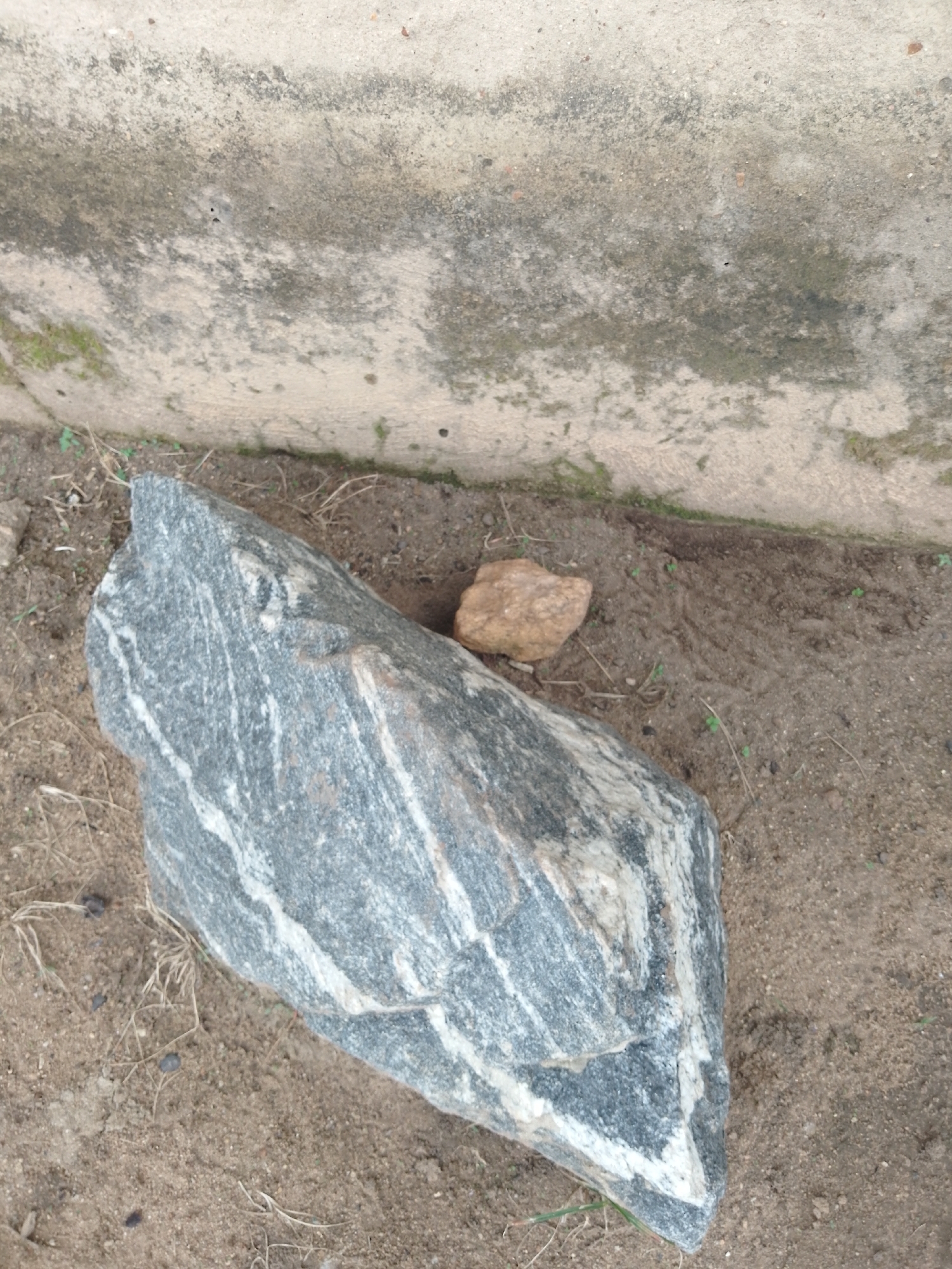 A large, grey and white striped rock rests on sandy ground in front of a weathered, textured concrete wall. A smaller, brown rock is situated near the large rock. The concrete wall shows signs of staining and some patches of green growth. Dry grass and small green sprouts are scattered on the ground around the rocks. The scene appears to be outdoors, possibly in an urban or semi-urban environment given the presence of the concrete wall.