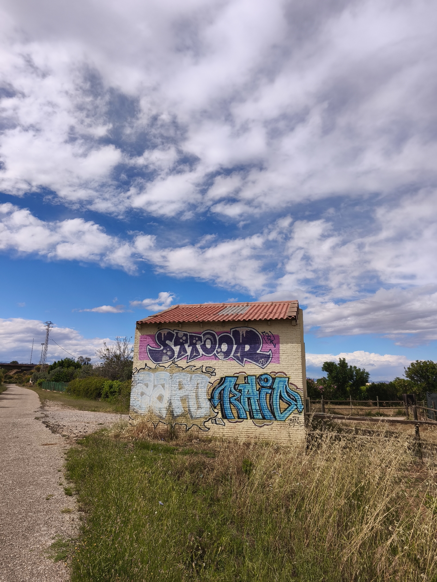 The image shows a small, single-story building with graffiti on its exterior, located in Alcàsser, Spain. The building appears to be constructed of light-colored bricks with a red tile roof. The graffiti consists of stylized writing in purple, white, and blue colors. The word "SCHOOL" is visible in purple on the upper part of the building.
The building is situated next to a narrow asphalt road on one side and a field of tall, dry grass on the other. A wooden fence is visible beyond the grass. The background includes trees, shrubs, and a cloudy blue sky. A power line and other utility poles are visible in the distance, along with a bridge. The scene is bathed in natural daylight.
