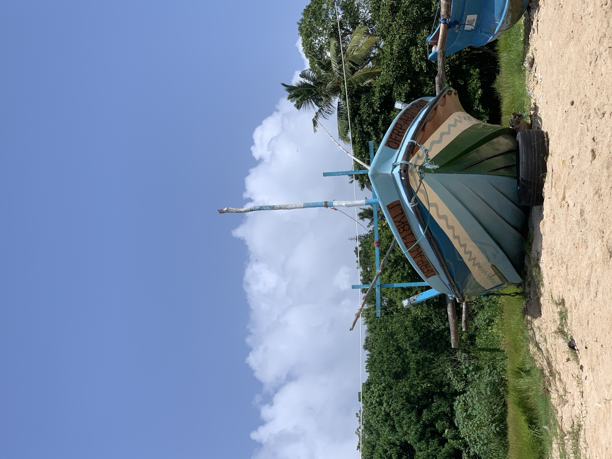 In Weligama, Sri Lanka, a bright blue fishing boat with white, cream, and green diagonal stripes is pulled up onto a sandy shore. The boat has the registration number "OFRP-A-0718KLT" painted on its bow. A tall, thin mast with blue trim extends upwards from the boat's center. To the right, another blue fishing boat, labeled "ANGEL," is also beached. Behind the boats, a dense line of green trees, including palm trees, forms a backdrop against a clear blue sky with scattered white clouds. The foreground consists of sand with sparse dry grass and some small debris. The overall scene depicts a sunny day in a coastal fishing village.