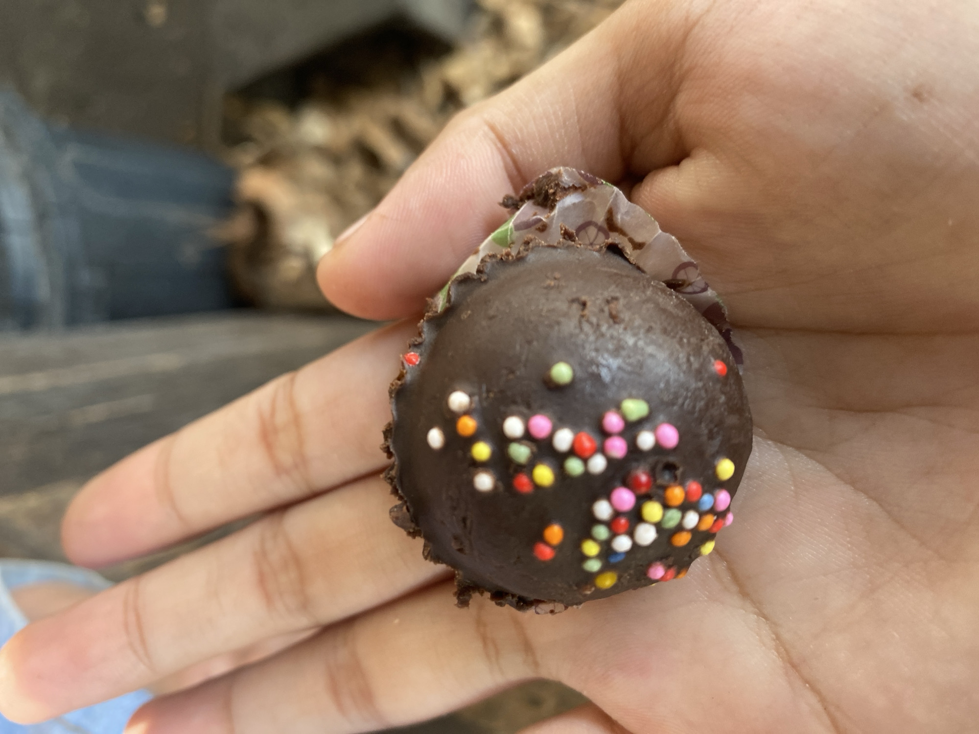 A person's hand is holding a chocolate-covered truffle, which is decorated with colorful sprinkles. The truffle is encased in a decorative paper wrapper, which is partially peeled away. The background is blurred, showing what appears to be outdoor elements, possibly a garden or street scene in Ta', Indonesia.
