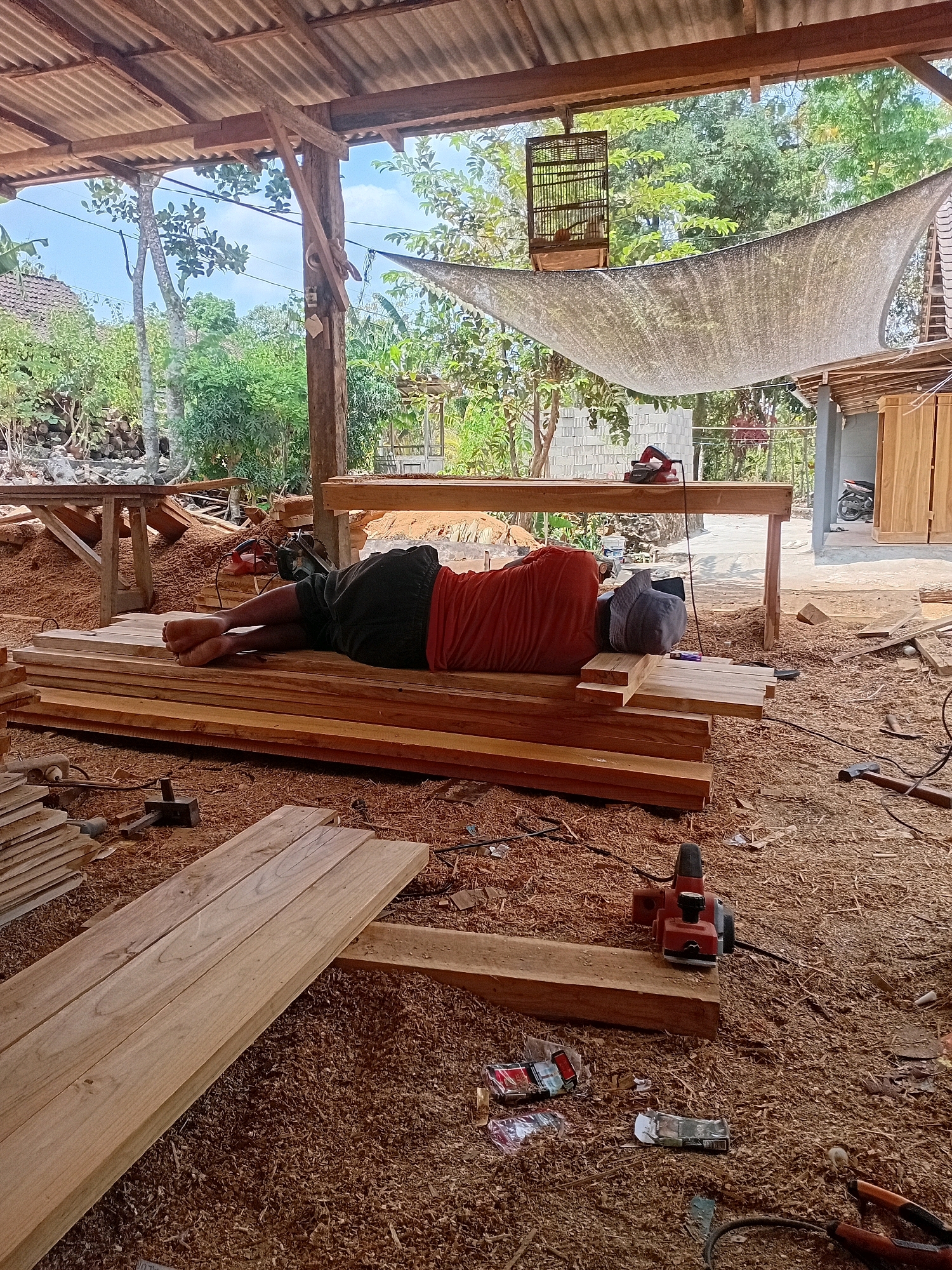 In Playen, Indonesia, a man is sleeping on a stack of lumber in a workshop. The workshop is open-air, with a corrugated metal roof supported by wooden beams. The ground is covered in sawdust, and various woodworking tools and materials are scattered around, including a planer, sawhorses, and piles of wood. In the background, trees and vegetation are visible, along with a house and a motorcycle. A birdcage hangs from one of the roof beams.