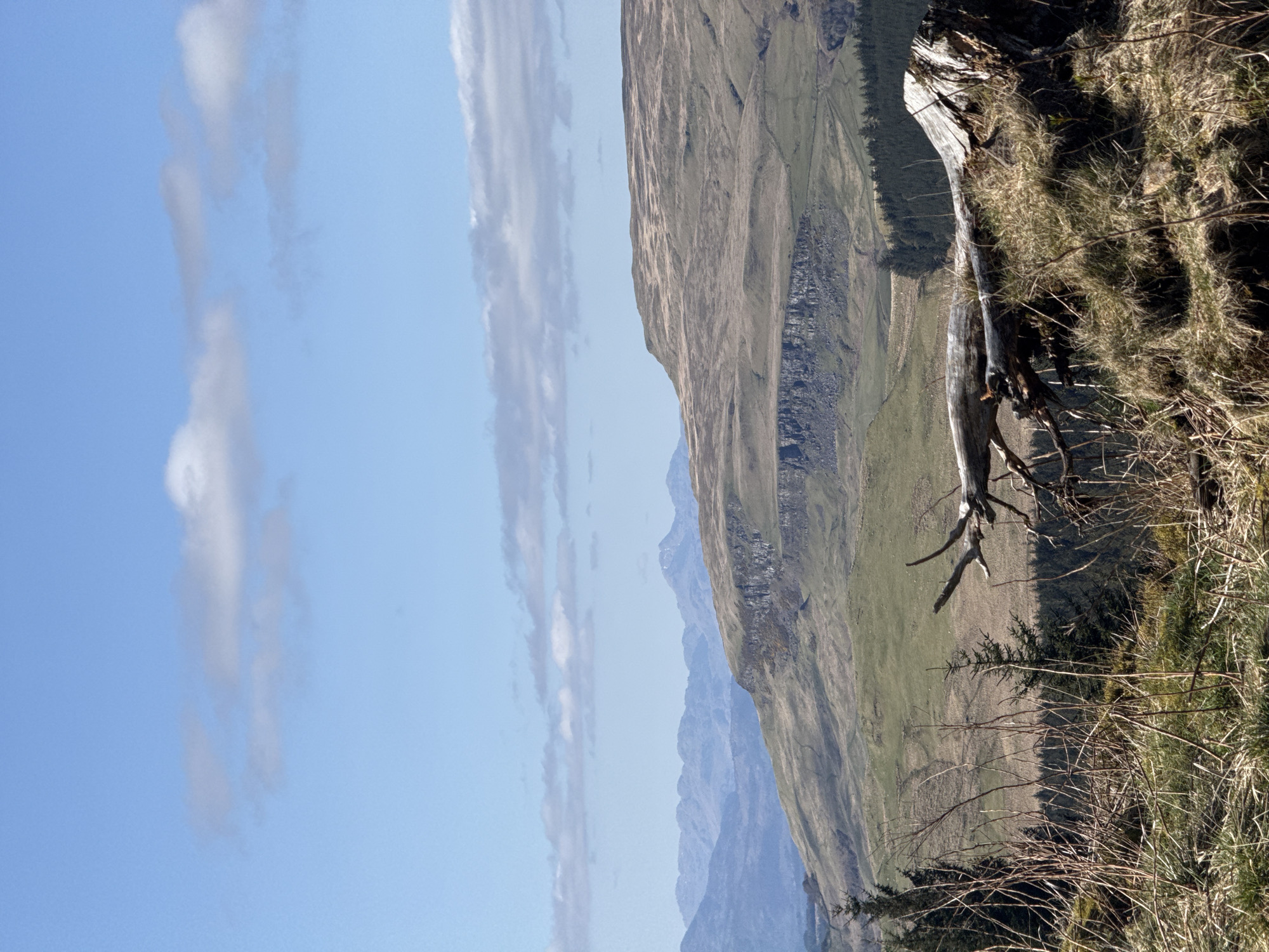 The image captures a vast, sunlit mountainous landscape, rotated counter-clockwise. When viewed correctly in landscape orientation, a clear blue sky with scattered, elongated white clouds occupies the top half. The lower half is dominated by rugged terrain, transitioning from a detailed foreground to hazy distant peaks.
In the immediate foreground, dry, straw-like grass and sparse brush cover the ground. A prominent feature is a large, pale, gnarled piece of driftwood or dead tree trunk lying horizontally, with several smaller branches extending from it. Further back in the foreground, darker green foliage, possibly small evergreen trees or bushes, can be seen.
The midground is characterized by a large, steep mountain or hill slope covered predominantly in green and brown grasses, showing textured contours. A darker, rockier section is visible on this slope, suggesting geological features. Beyond this, several layers of mountains recede into the distance, appearing increasingly bluish and indistinct due to atmospheric perspective.
The scene is static, devoid of any human activity or discernible events. It appears to be daytime, likely under bright sunlight, with clear weather. No visible text is present in the image. The setting evokes a sense of natural grandeur and tranquility.