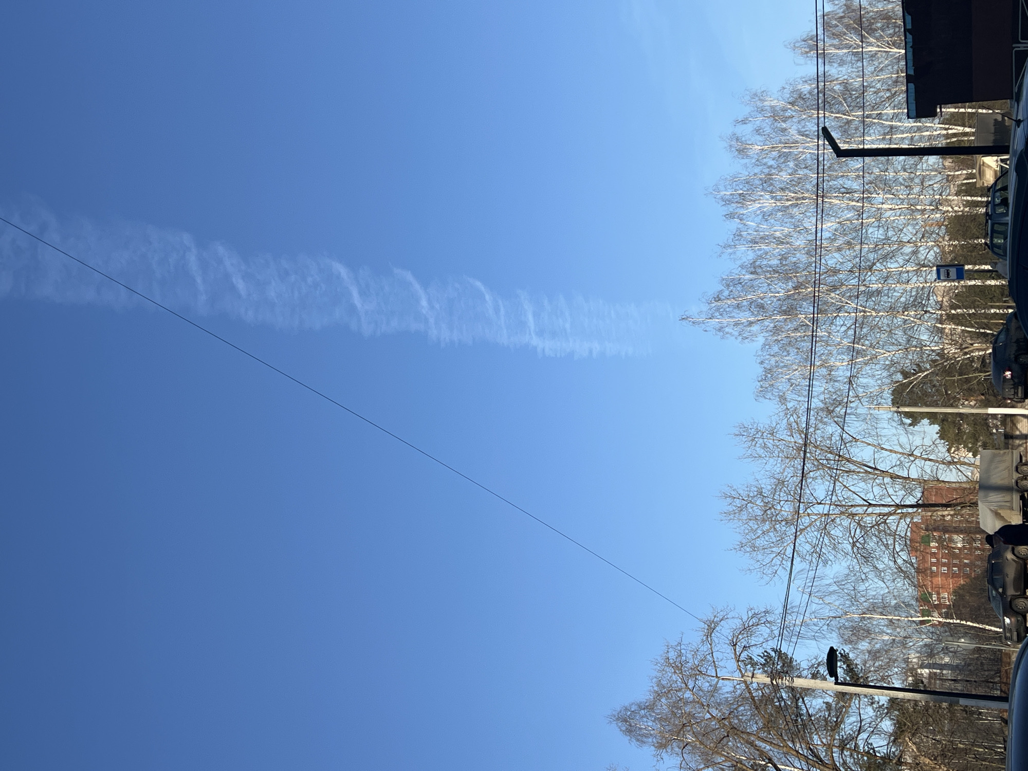 The image shows a view of the sky in Chaikovsky, Russia. The sky is clear blue with a contrail cloud formation. Power lines are visible across the sky. Bare birch trees line the right side of the frame. Buildings and parked cars are visible behind the trees. A bus stop sign is affixed to a pole among the trees.