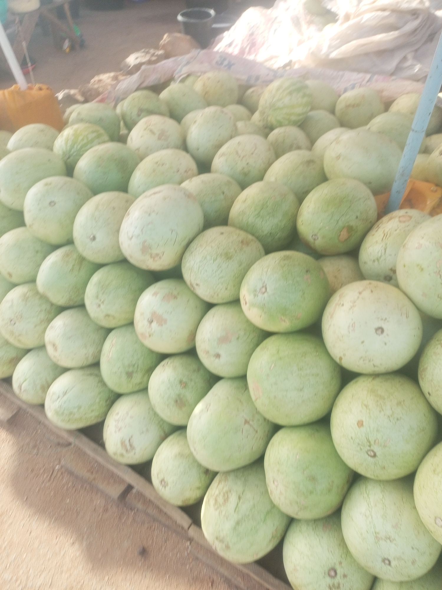 The image depicts a large pile of light green watermelons stacked on a wooden pallet. The watermelons appear to be uniformly round and of a similar size. The pallet rests on what seems to be a sandy or dirt surface. In the background, there is a partially visible yellow container and a white sheet, as well as a gray bucket. The scene is brightly lit, with significant glare in the upper right portion of the image. There is a pole or support structure visible in the upper right corner. The location is Tempure, Nigeria. No people are clearly visible.
