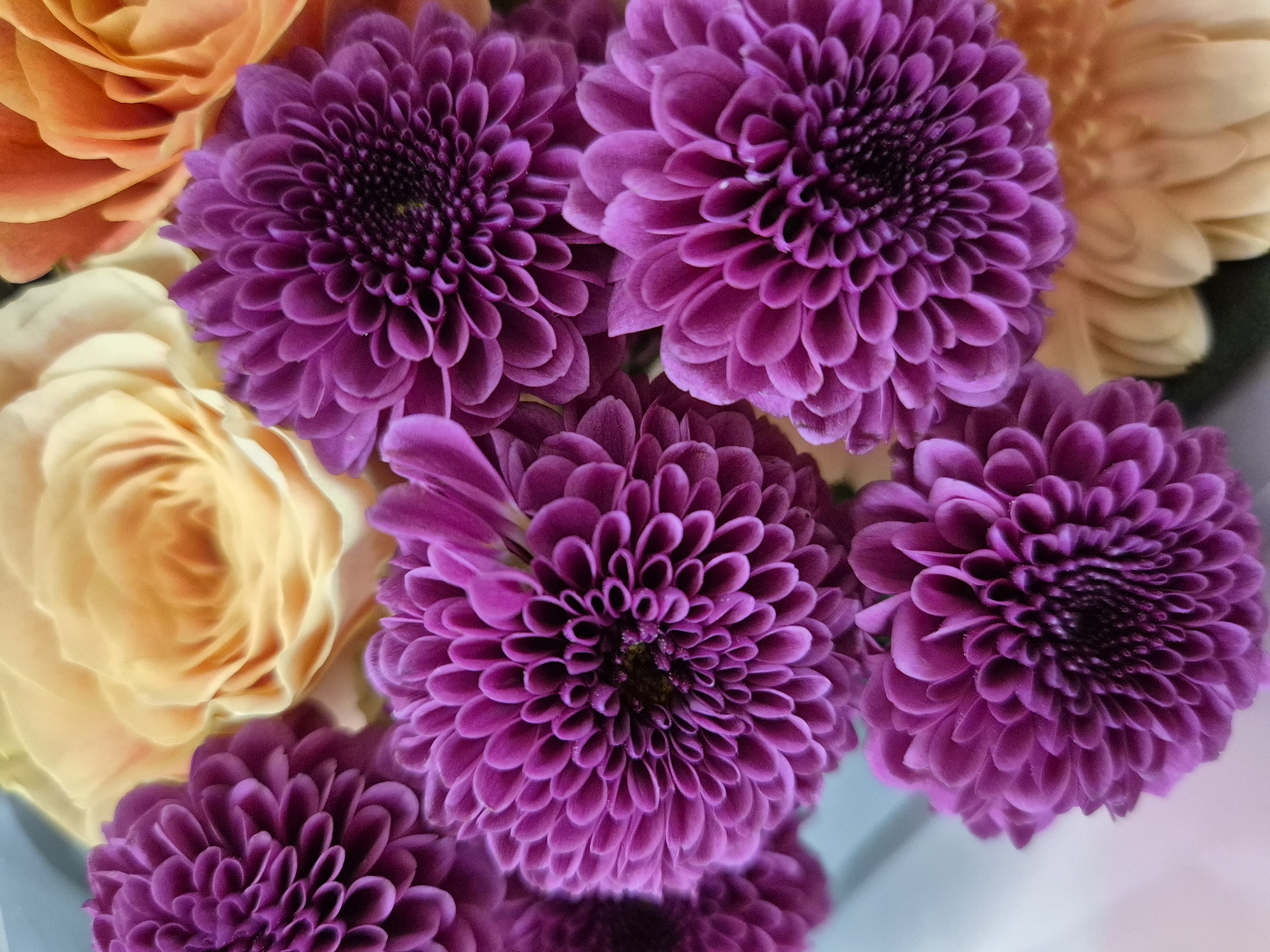 The image is a close-up shot of a bouquet of flowers, predominantly featuring purple chrysanthemums. There are at least five fully visible chrysanthemum flowers, each with densely packed petals radiating from a dark center. A peach-colored rose and a cream-colored rose are also visible on the left side of the frame, providing a contrast in color and texture. The background is a soft, blurry mix of colors, suggesting additional floral arrangements or a neutral backdrop. The lighting appears to be soft and diffuse. There is no evidence to suggest the location is in West Suffolk, United Kingdom, or any other specific location.