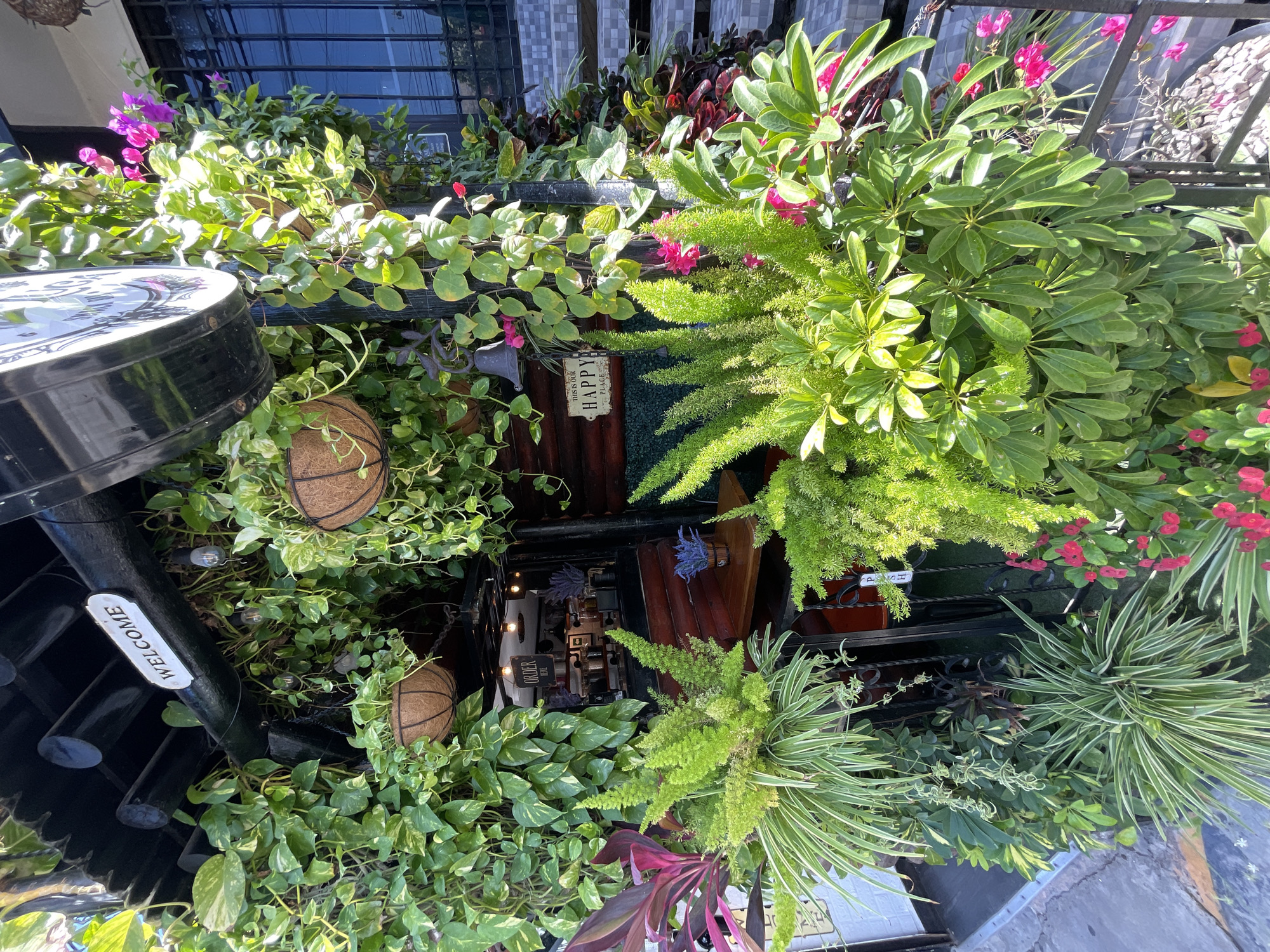 The image shows a street-level view in Playa del Carmen, Mexico. The frame is filled with lush greenery from various potted plants hanging outside a storefront. The plants include varieties of vines with bright green and variegated leaves, ferns, and flowering plants with pink and red blossoms. A "WELCOME" sign is partially visible on a vertical black bar, and a round sign with writing is positioned above the plants on the left side. Through the doorway and windows behind the plants, a glimpse of the interior of a commercial establishment is visible, with lights and signage like "ORDER HERE". A small sign reading "THIS IS OUR HAPPY PLACE" is nestled among the greenery. The backdrop includes the building's façade, featuring windows and a metal grill. Portions of the street can be seen at the bottom right of the frame.