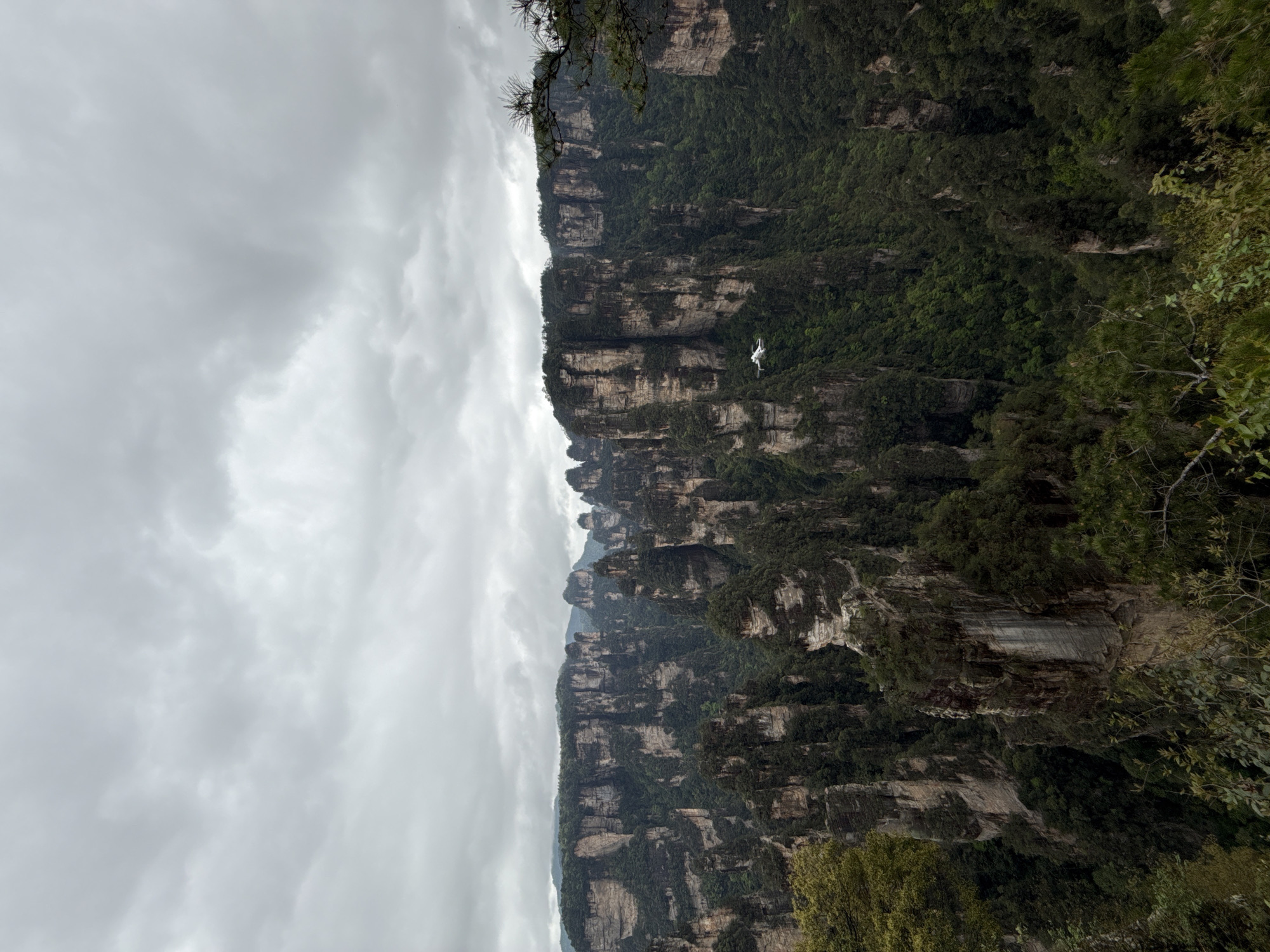 The image captures the Avatar Mountains in Luoguta, China. The mountains, characterized by steep, rocky cliffs covered in dense green vegetation, stretch into the sky under an overcast sky filled with grey clouds. A white statue or structure is visible on one of the cliff faces. Some greenery is also visible in the foreground. The photograph is taken from a slightly elevated perspective, emphasizing the height and scale of the mountains.