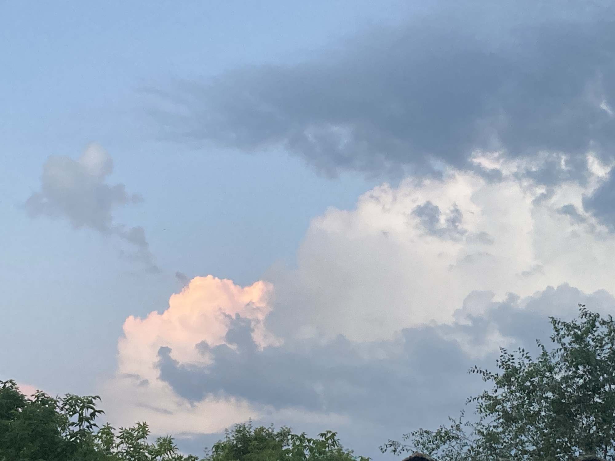 The image shows a sky filled with clouds. The clouds vary in color, with some appearing dark gray and others light gray and white. There is a patch of cloud on the left side of the image that is illuminated with a soft pinkish hue, possibly due to the setting or rising sun. In the foreground, the tops of green trees are visible, suggesting the image was taken outdoors, likely from a lower elevation looking up. The environment appears to be a natural landscape with vegetation. The specific location in the city of Ракиты, Russia, cannot be determined from the image alone, but the presence of trees and clouds indicates an outdoor setting. There are no people or discernible objects in the sky or on the trees.