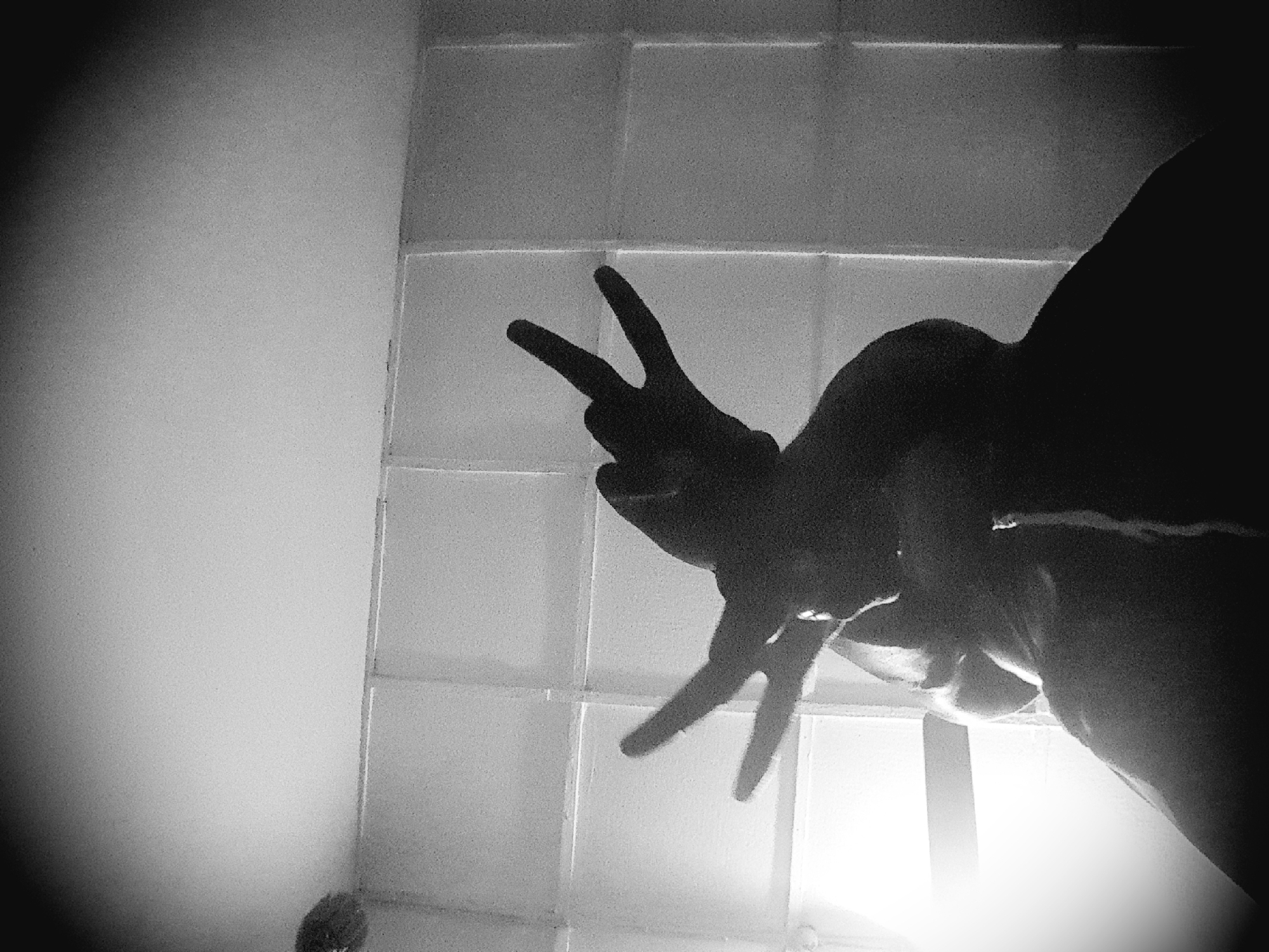 In an indoor setting, a silhouette of a person is visible, with their hands raised and fingers forming a "rock on" gesture. The background consists of a tiled wall and a ceiling with subtle lighting. The image is in black and white with a grainy texture. The location is identified as Unknown, Unknown.