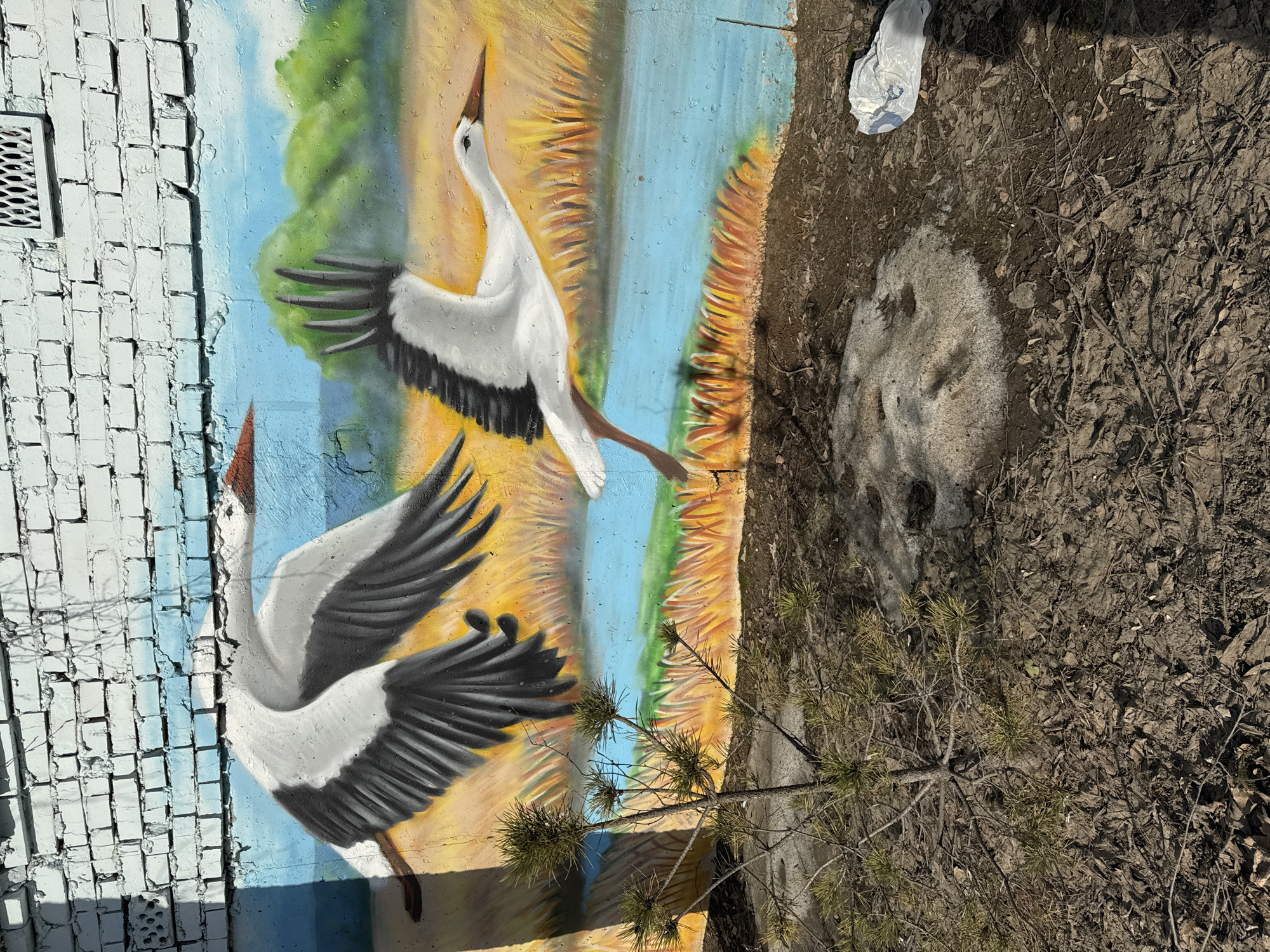 The image shows a mural of two white storks painted on a light blue and yellow wall, possibly concrete. The wall is adjacent to a white brick wall with a ventilation grill. To the right of the mural, the ground is covered in dry leaves, twigs, and a small pine tree. A white plastic bag lies on the ground near the mural. A patch of partially melted snow is also visible. The location is likely in the city of Chaikovsky, Russia.