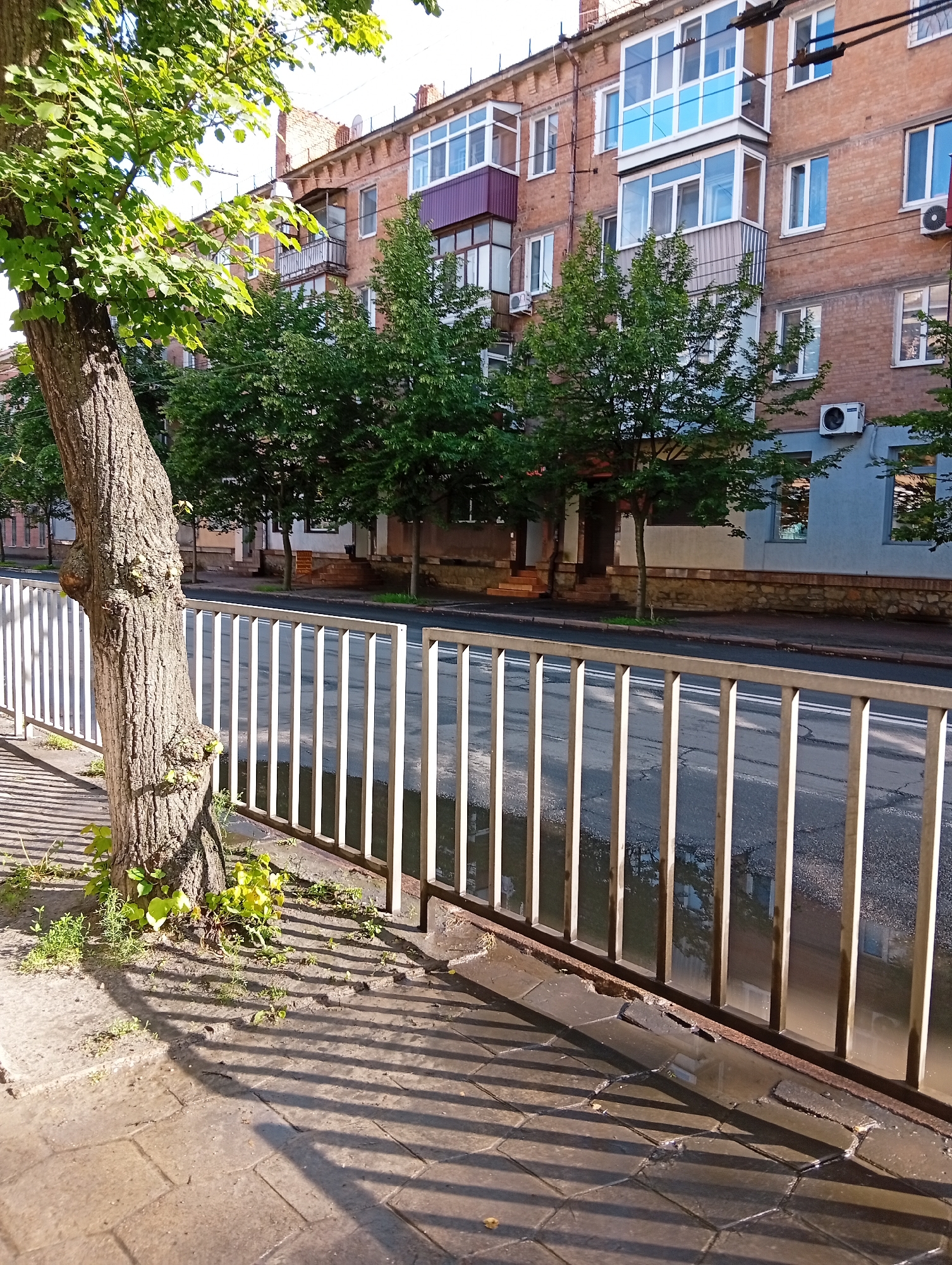 The image depicts a street scene in Poltava, Ukraine. A tree stands on the sidewalk adjacent to a metal fence that separates the sidewalk from the street. The fence is composed of vertical bars. The sidewalk is made of pavement tiles. The street surface is wet and reflective. Behind the street is a row of brick apartment buildings, interspersed with trees. The buildings have balconies and visible air conditioning units. The overall lighting suggests a sunny day.