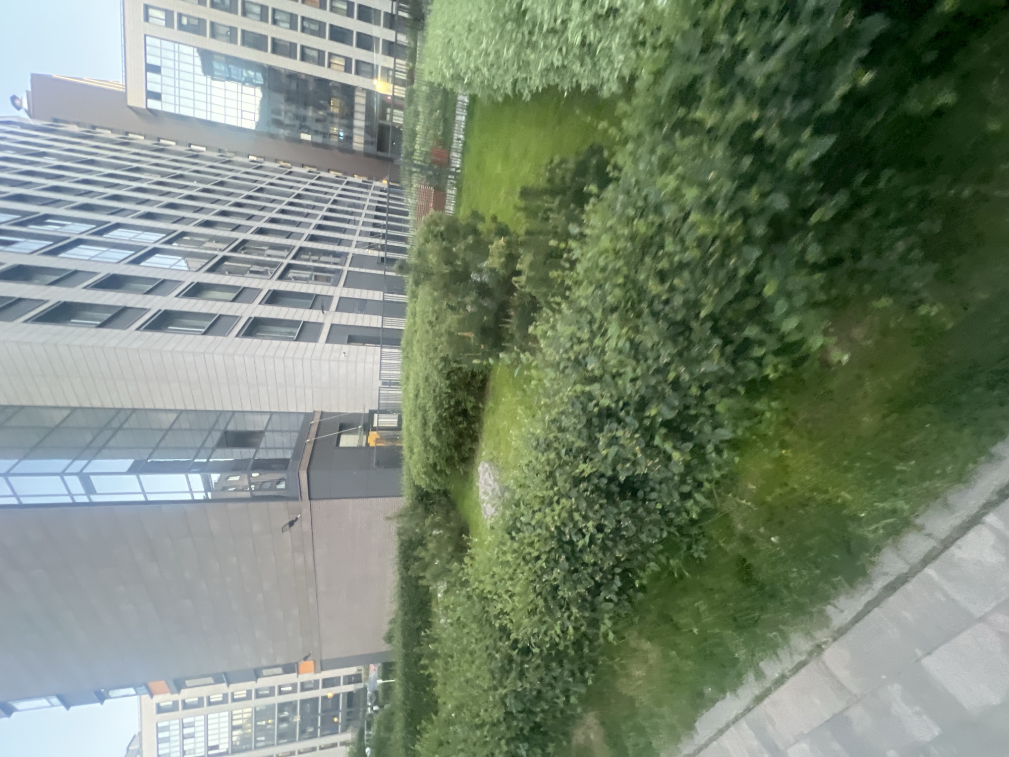 The image displays a modern urban landscape in Unknown, Russia, featuring contemporary multi-story buildings and manicured green spaces. In the left-center, a tall building presents a dark grey facade with a prominent vertical section of reflective glass windows that reflect nearby structures and the sky. Adjacent to it on the right, another multi-story building exhibits a light-colored, possibly white or light grey, facade with a grid pattern of numerous rectangular windows. Further buildings of similar modern architectural style are visible in the background, including one on the far right with an angled, reflective glass facade. The foreground and mid-ground are dominated by extensive green landscaping, comprising multiple rows of neatly trimmed green hedges, interspersed with patches of mowed green grass and smaller shrubs. Several light-colored stones are situated within a grassy area in the mid-ground. A dark metal fence with vertical bars extends horizontally across the mid-ground, behind which a reddish-brown park bench is partially visible on the right. A grey paved pathway, composed of square tiles, occupies the bottom left portion of the image. The scene is illuminated by soft, diffused daylight, and no individuals or vehicles are distinctly visible.